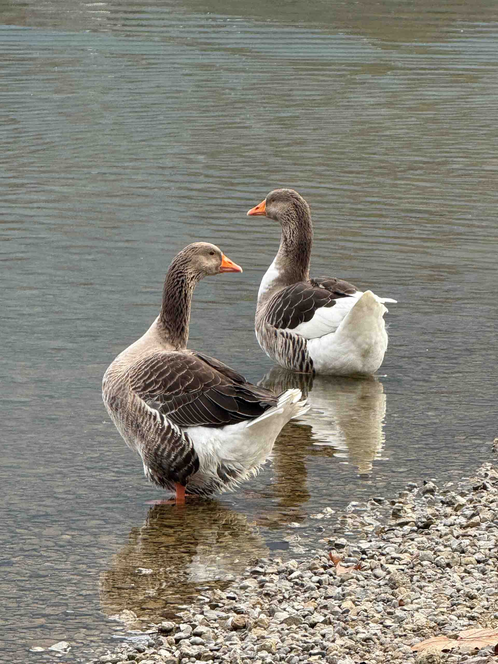 Озеро Идро-маленькая жемчужина. Авторские стильные фотокартины