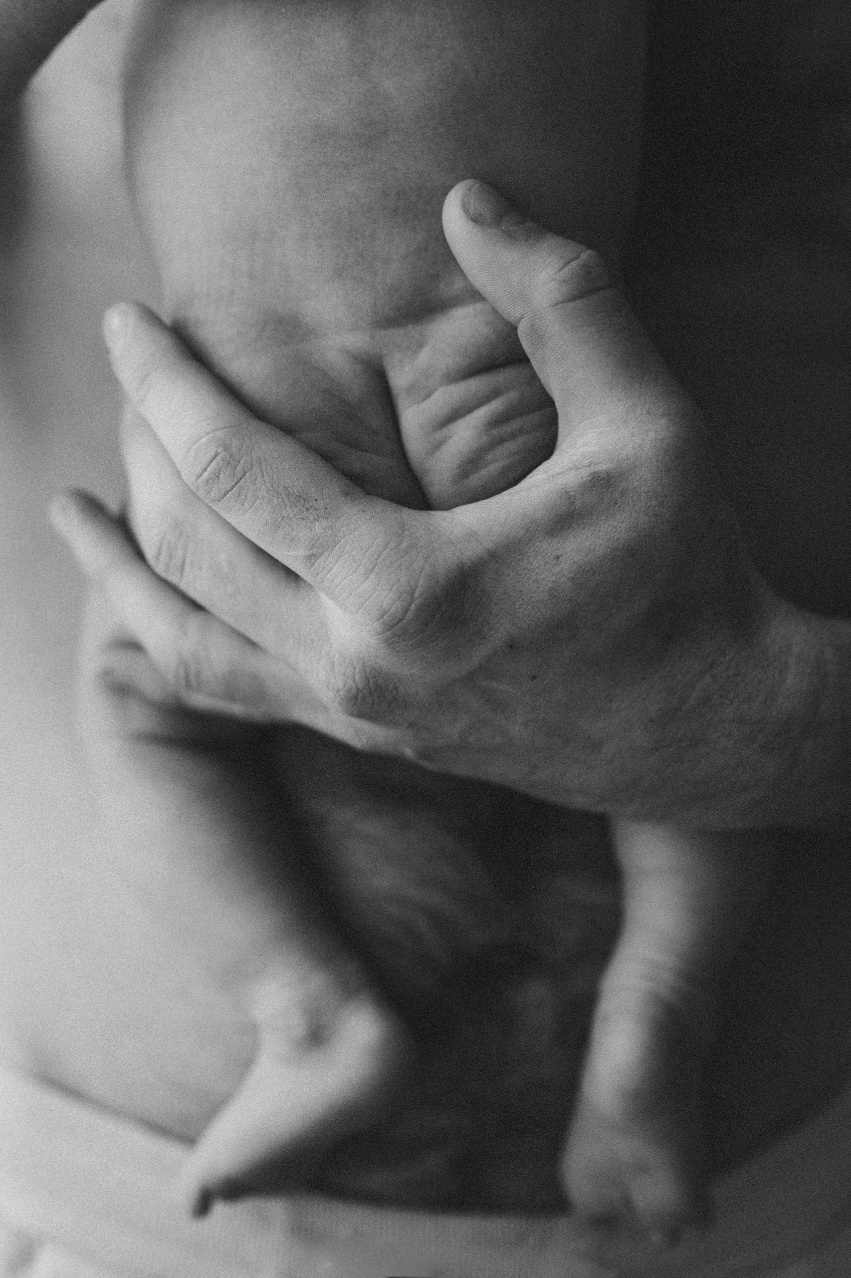 Семейный фотограф в Новосибирске Екатерина Лопатина