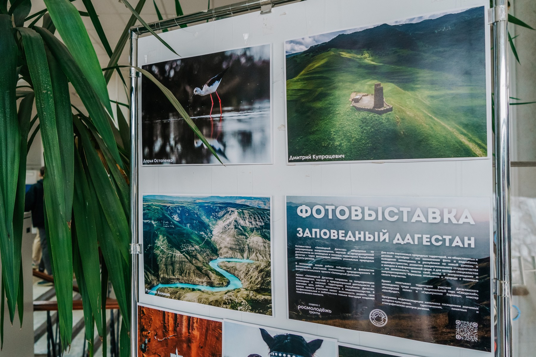 В Крыму состоялось открытие фотовыставки «Заповедный Дагестан». Репортажный фотограф в Крыму Ксения Гасица