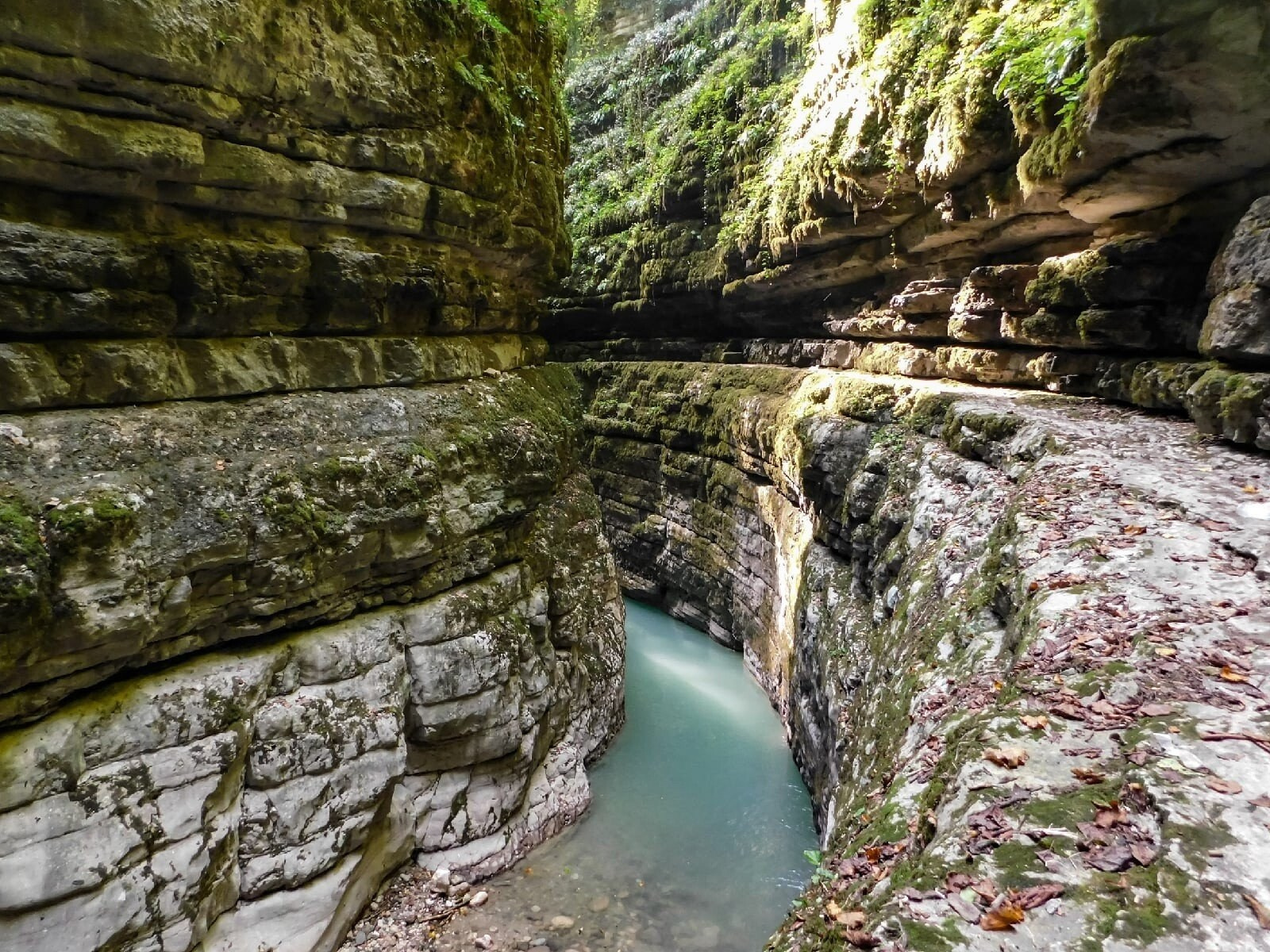 Фототур «Абхазия в бархатный сезон» 21–27 сентября. Ольга Котова