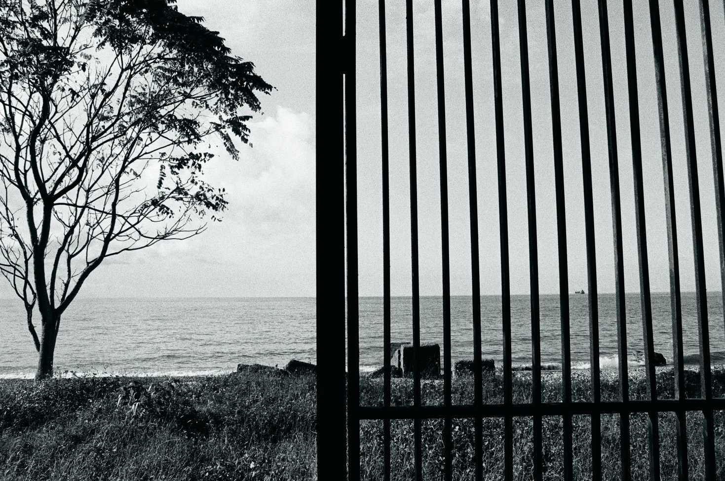 Морские прогулки с Nikon N8008. Artkapella|Олег Кузнецов