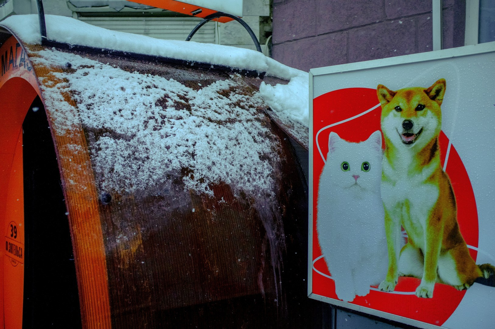 Руслан Шувалов (поэтограф)