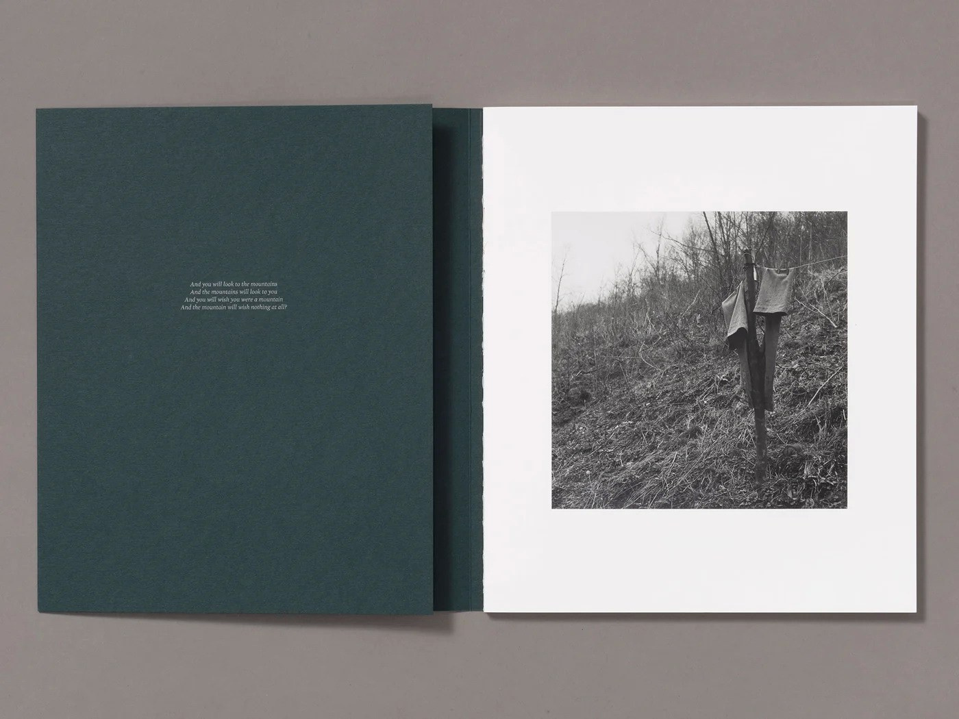 Книга «You Will Look To The Mountains» Энн Ририк (Anne Rearick). Private image