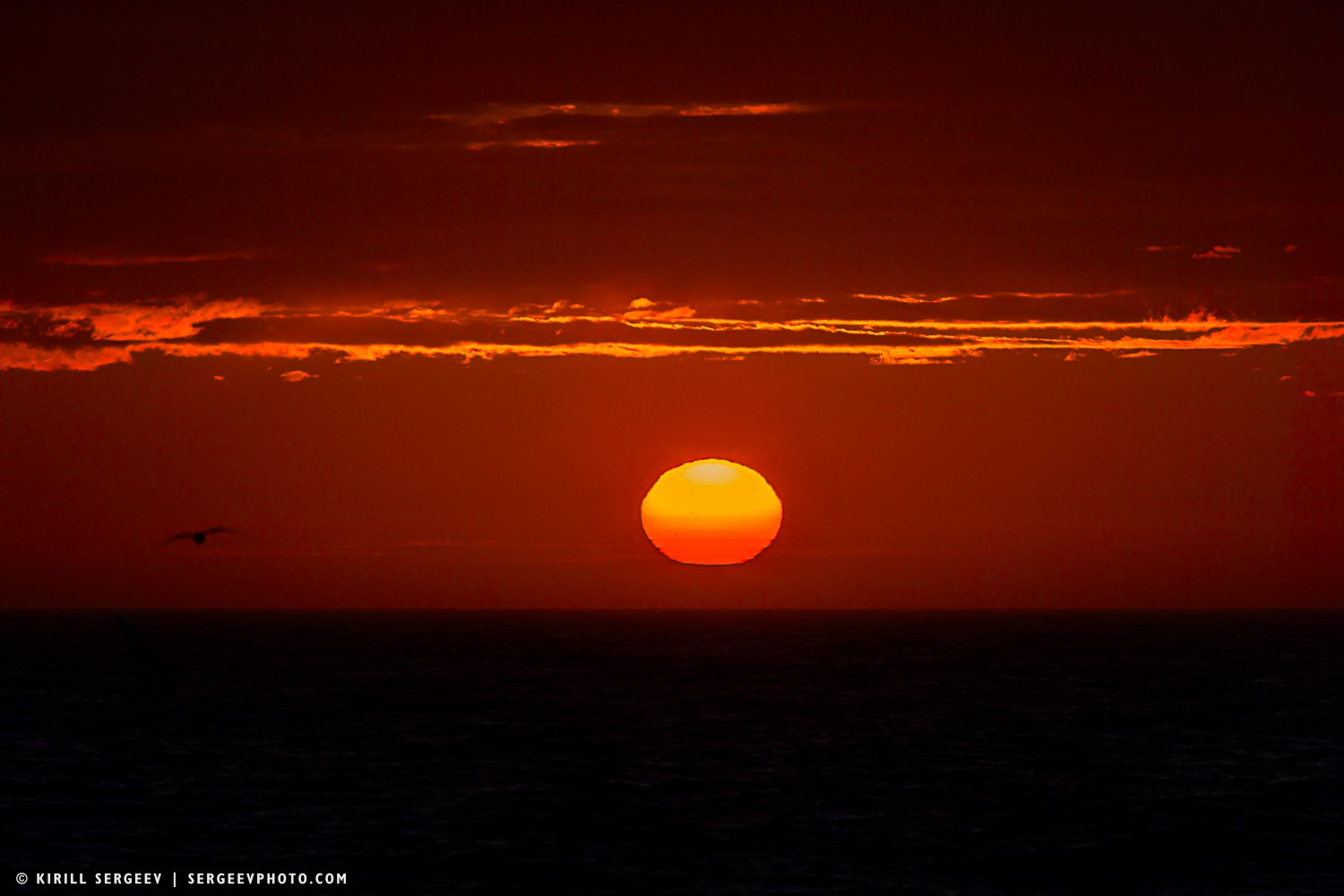 Арктическая одиссея. Фотограф Кирилл Сергеев | Москва
