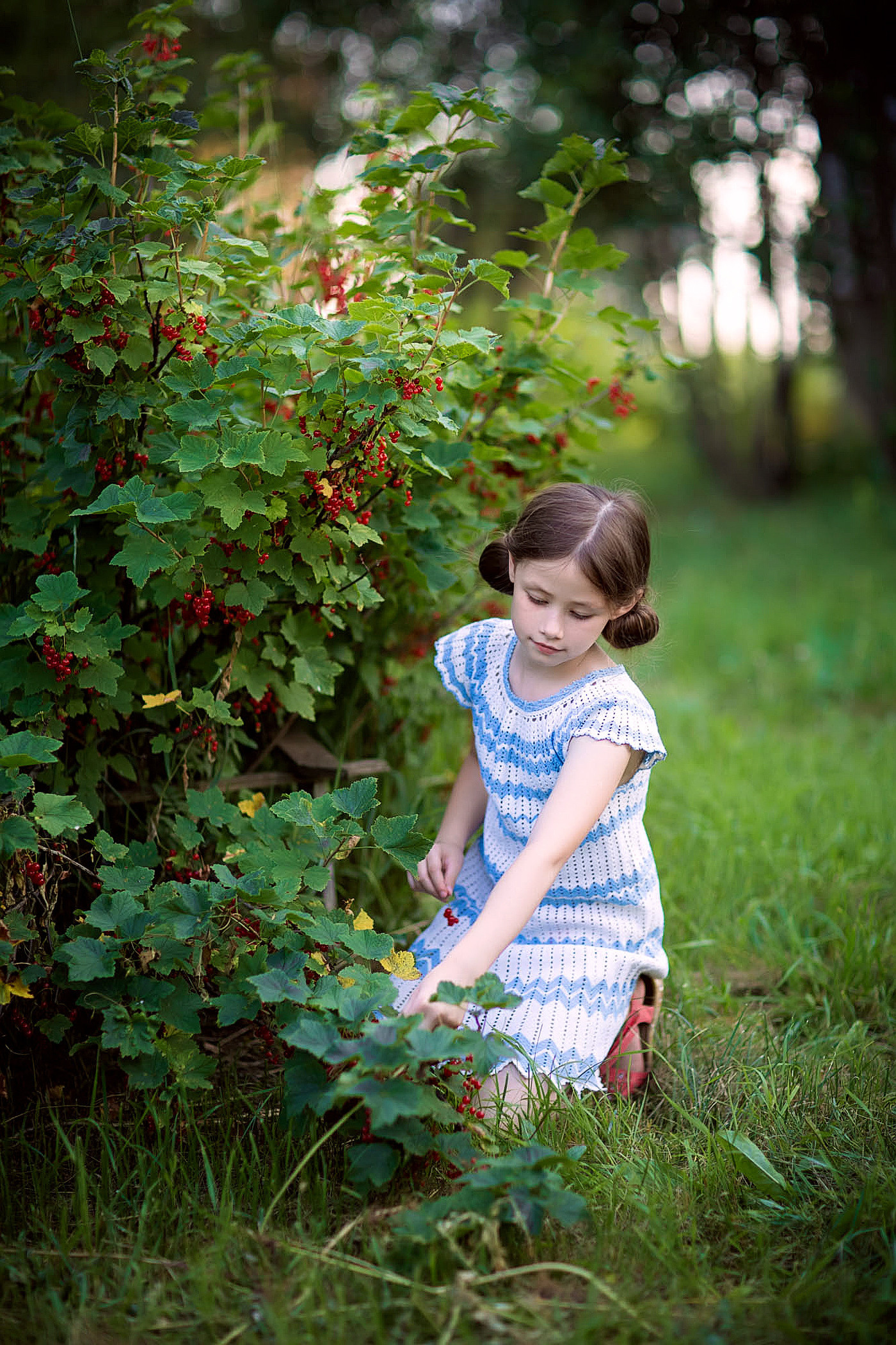 девочка в вязаном платье собирает смородину в саду