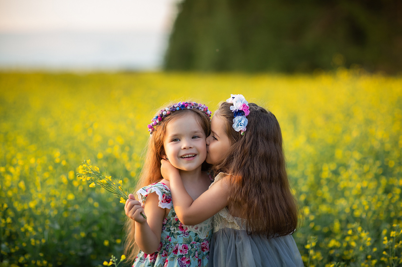одна маленькая девочка целует другую маленькую девочку в щёку в жёлтом рапсовом поле