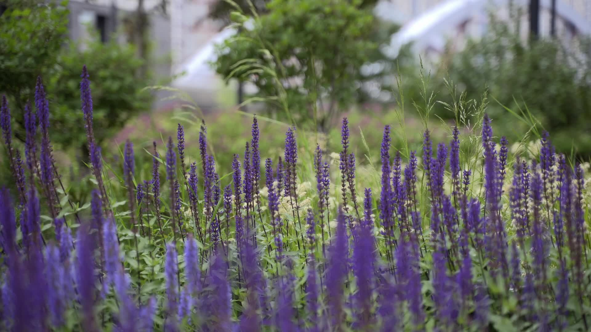 Фотограф Кирилл — профессиональная фотосъёмка в Москве
