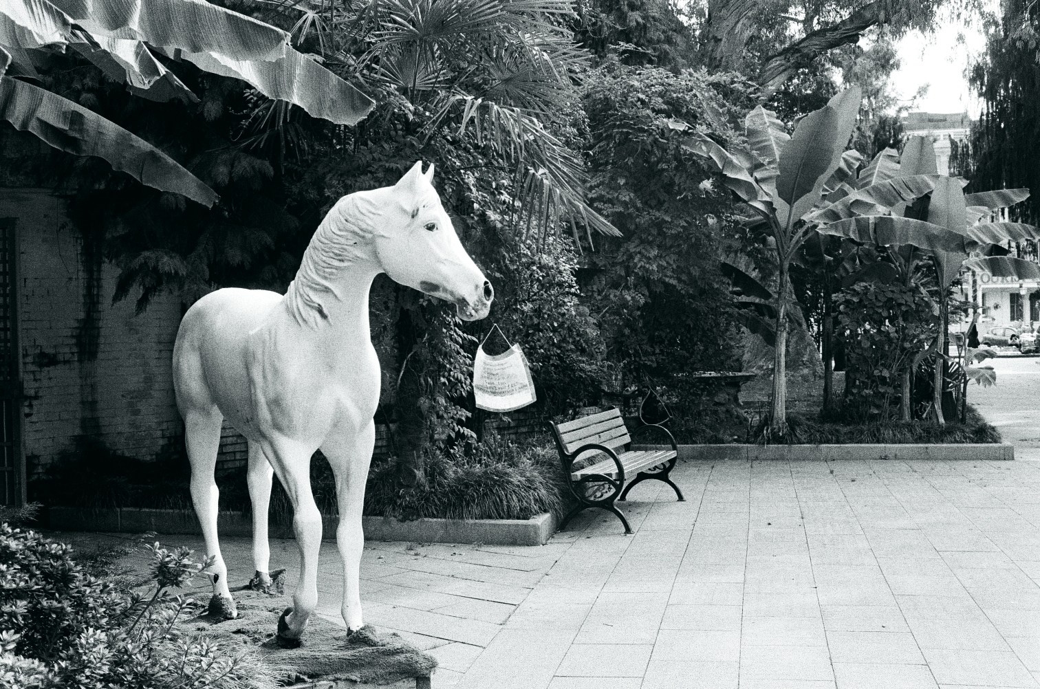 Морские прогулки с Nikon N8008. Artkapella|Олег Кузнецов