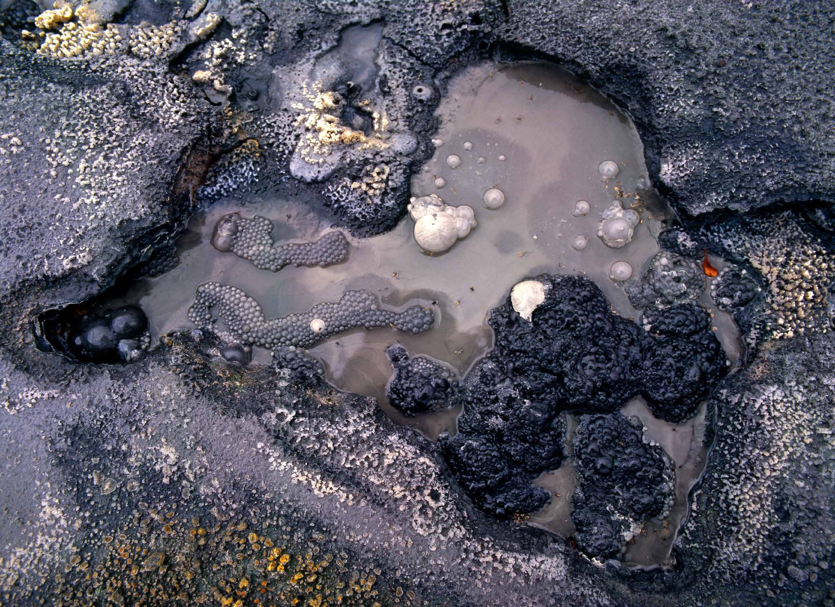 Коллекционные альбомы. ВАДИМ ГИППЕНРЕЙТЕР — ВЕЛИКИЙ ФОТОГРАФ ЗЕМЛИ РУССКОЙ