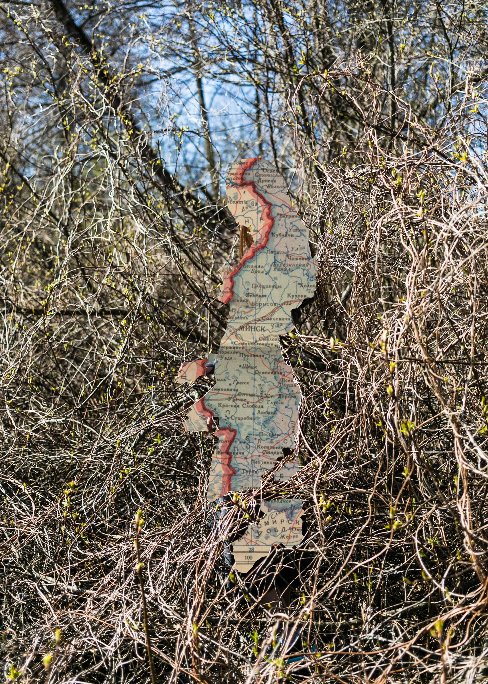 Locals. Photographer, Documentary and Art