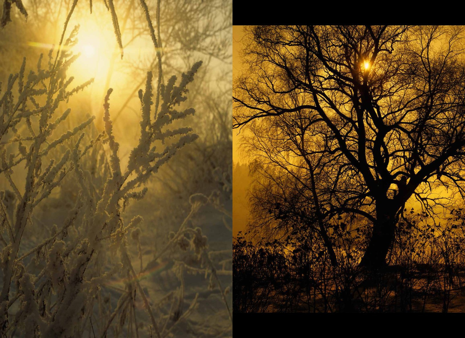 Коллекционные альбомы. ВАДИМ ГИППЕНРЕЙТЕР — ВЕЛИКИЙ ФОТОГРАФ ЗЕМЛИ РУССКОЙ