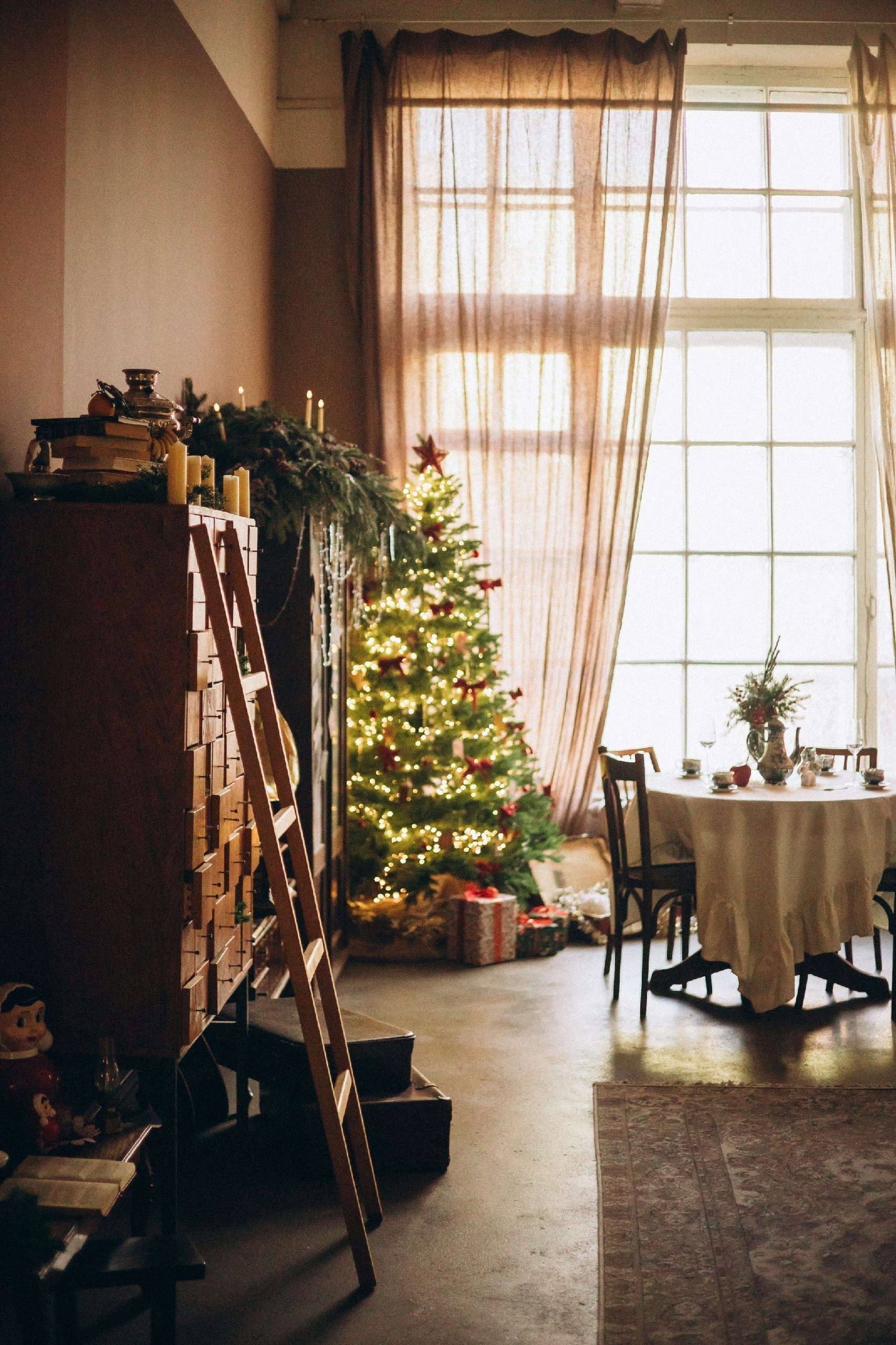 Новогодние фотостудии. Фотограф — Анималист | Санкт-Петербург