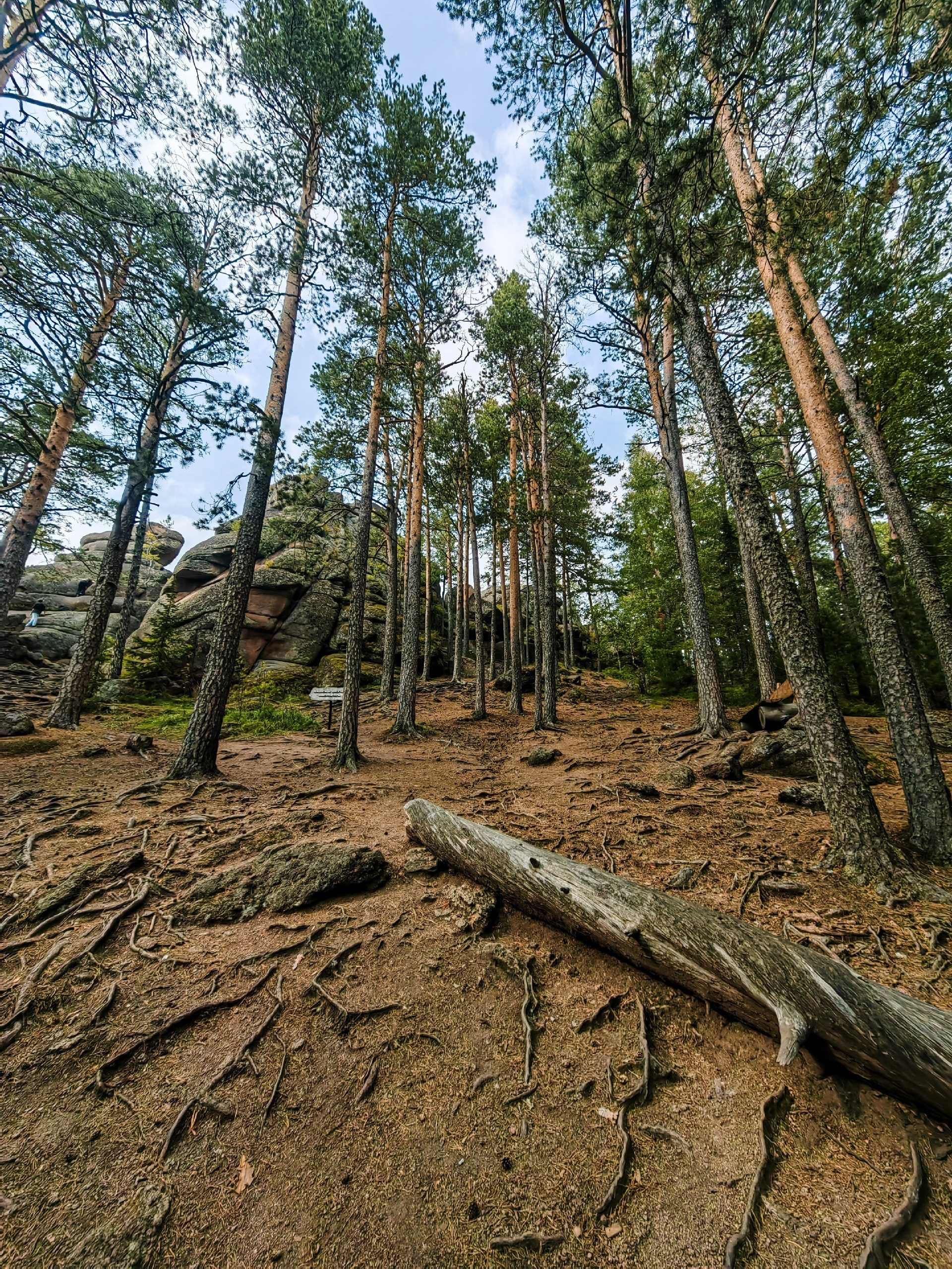 Аэросъёмка с FPV дрона квадрокоптера фотосессия фотограф Красноярск природа пейзаж индивидуальная экскурсия национальный парк заповедник Красноярские столбы цена заказать забронировать фото тур на кабриолете аренда прокат интересные места достопримечательности что посмотреть где побывать в Красноярске туристический маршрут центральные столбы скала Перья Дед Львиные ворота первый второй столб