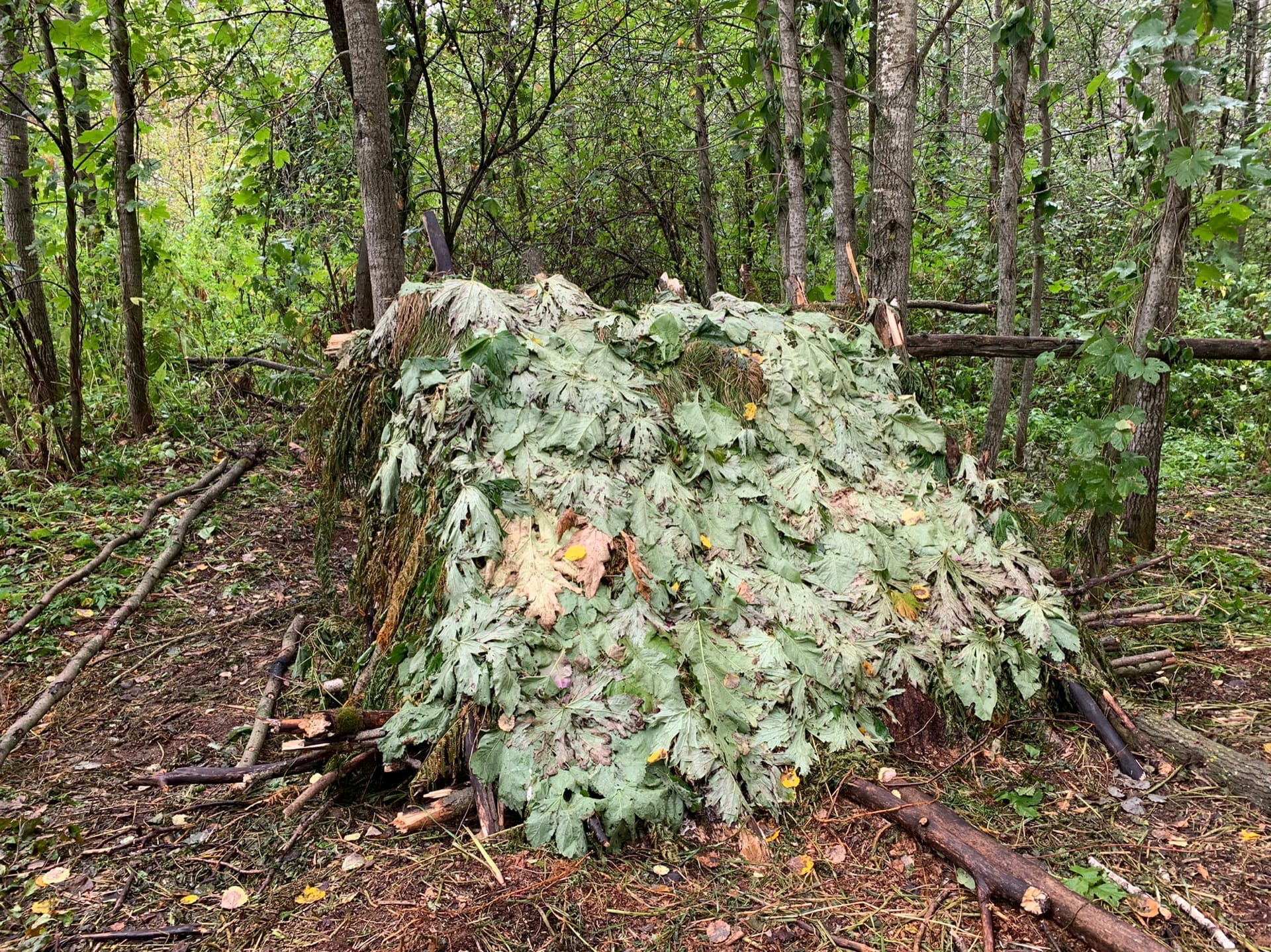 «Робинзонада». Детские программы Школа безопасности Новосибирск