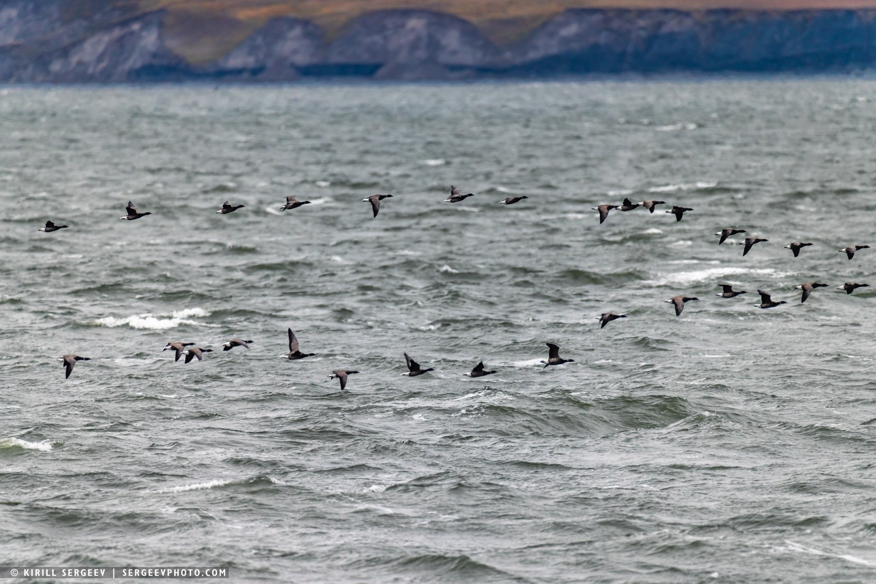北極奧德賽. 攝影師 基里爾·謝爾蓋耶夫 |莫斯科