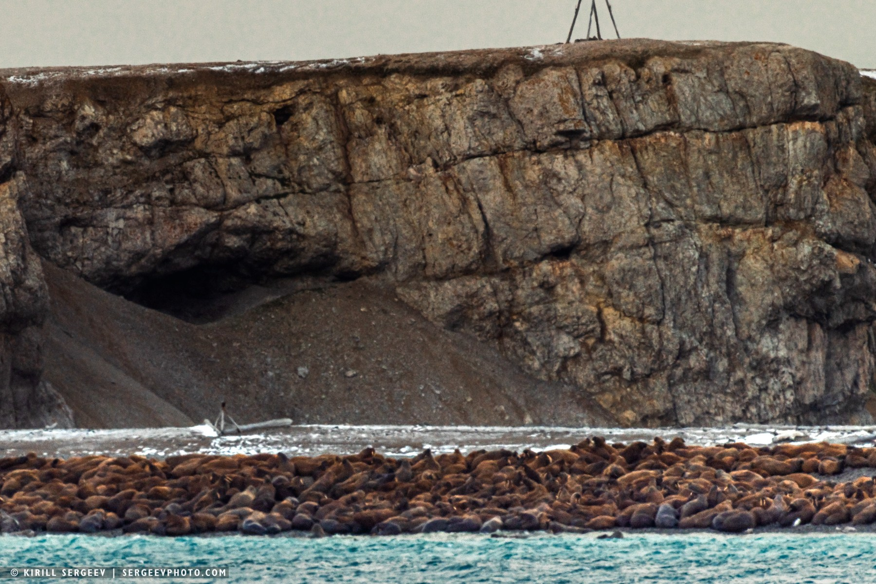 北極奧德賽. 攝影師 基里爾·謝爾蓋耶夫 |莫斯科
