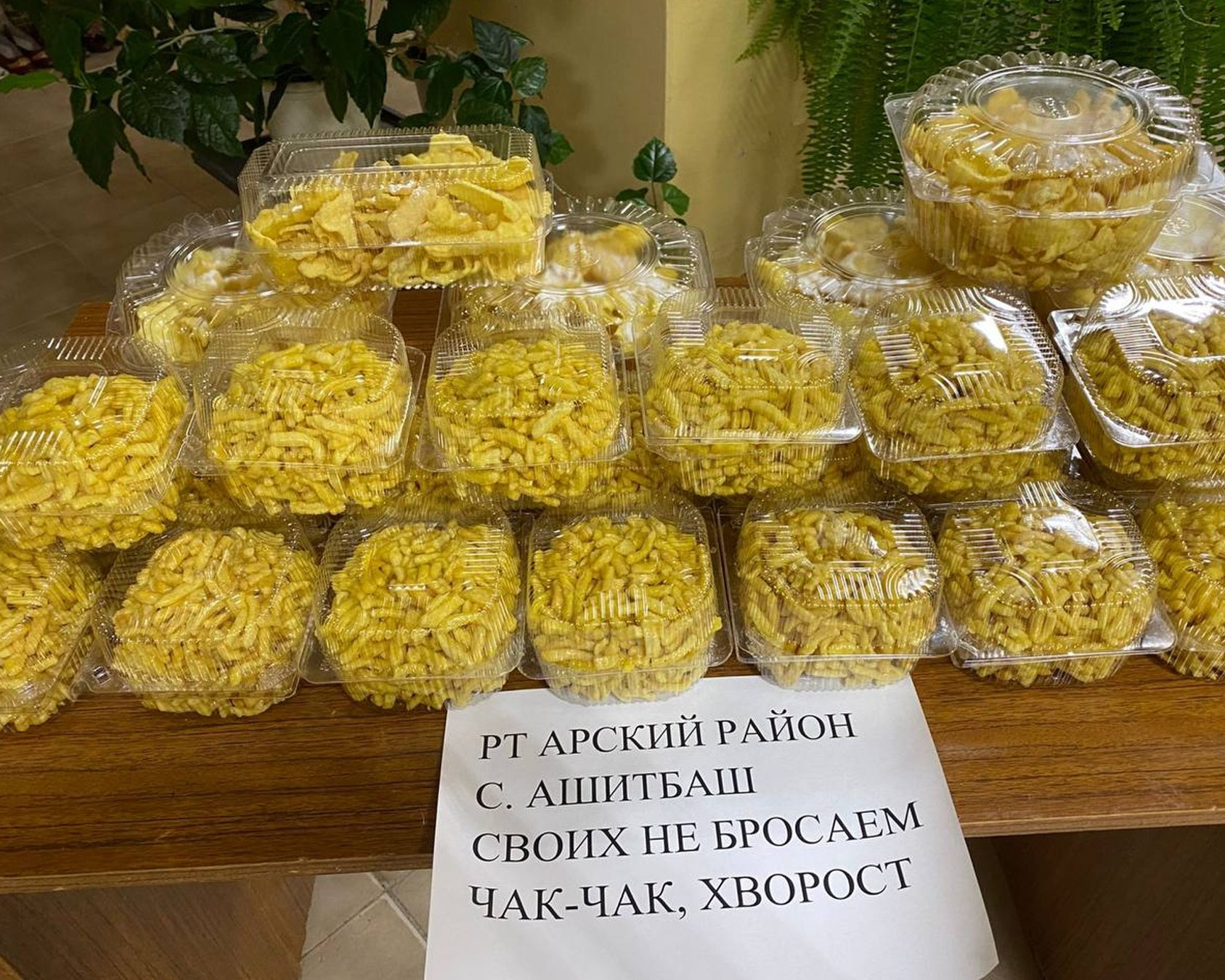 ZИЛАНТ | Волонтеры ТАТАРСТАНА