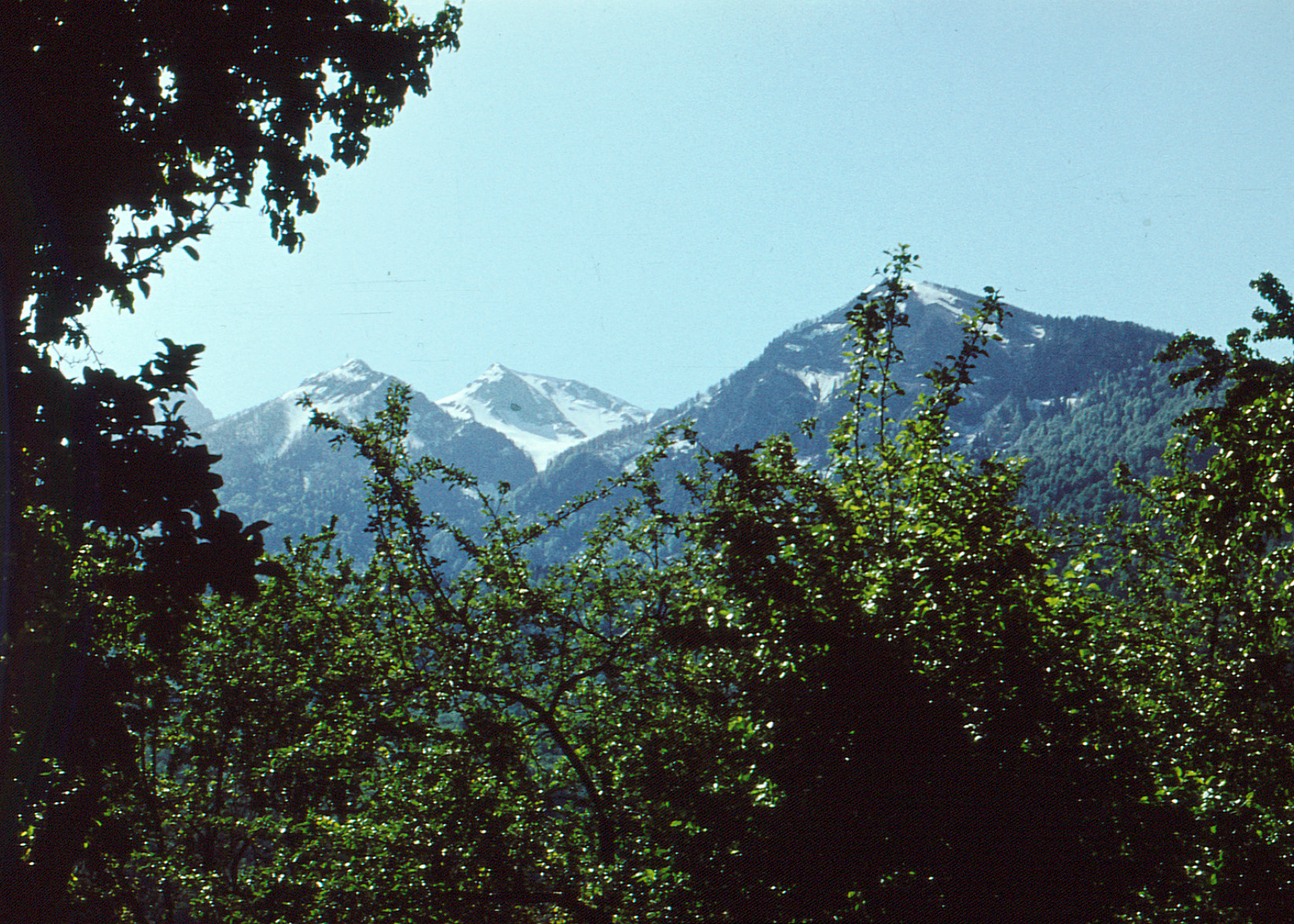 Семейный архив семьи Локтевых. Курортное дело