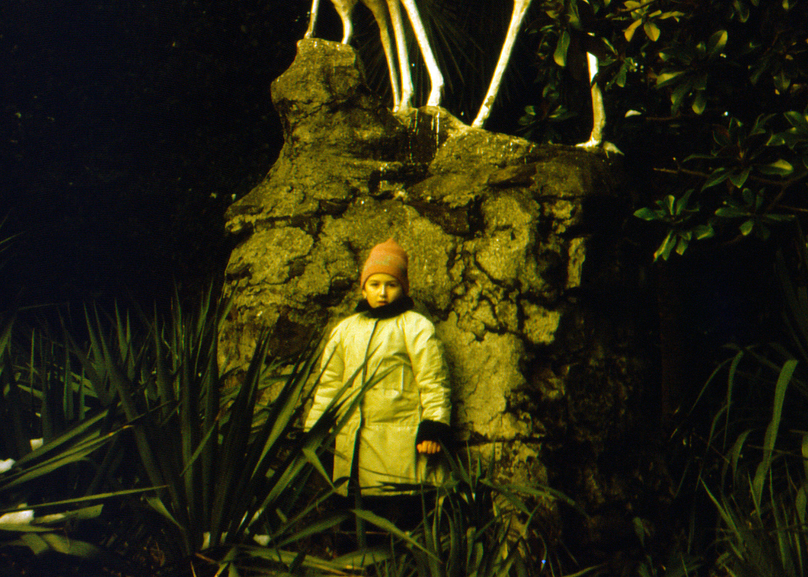 Семейный архив семьи Локтевых. Курортное дело