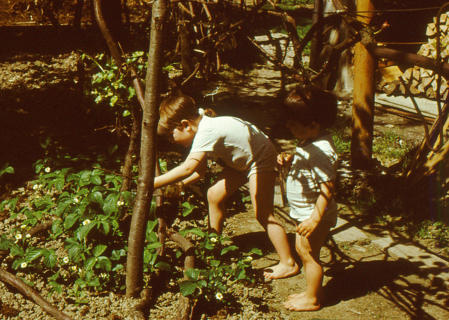 Семейный архив семьи Локтевых. Курортное дело
