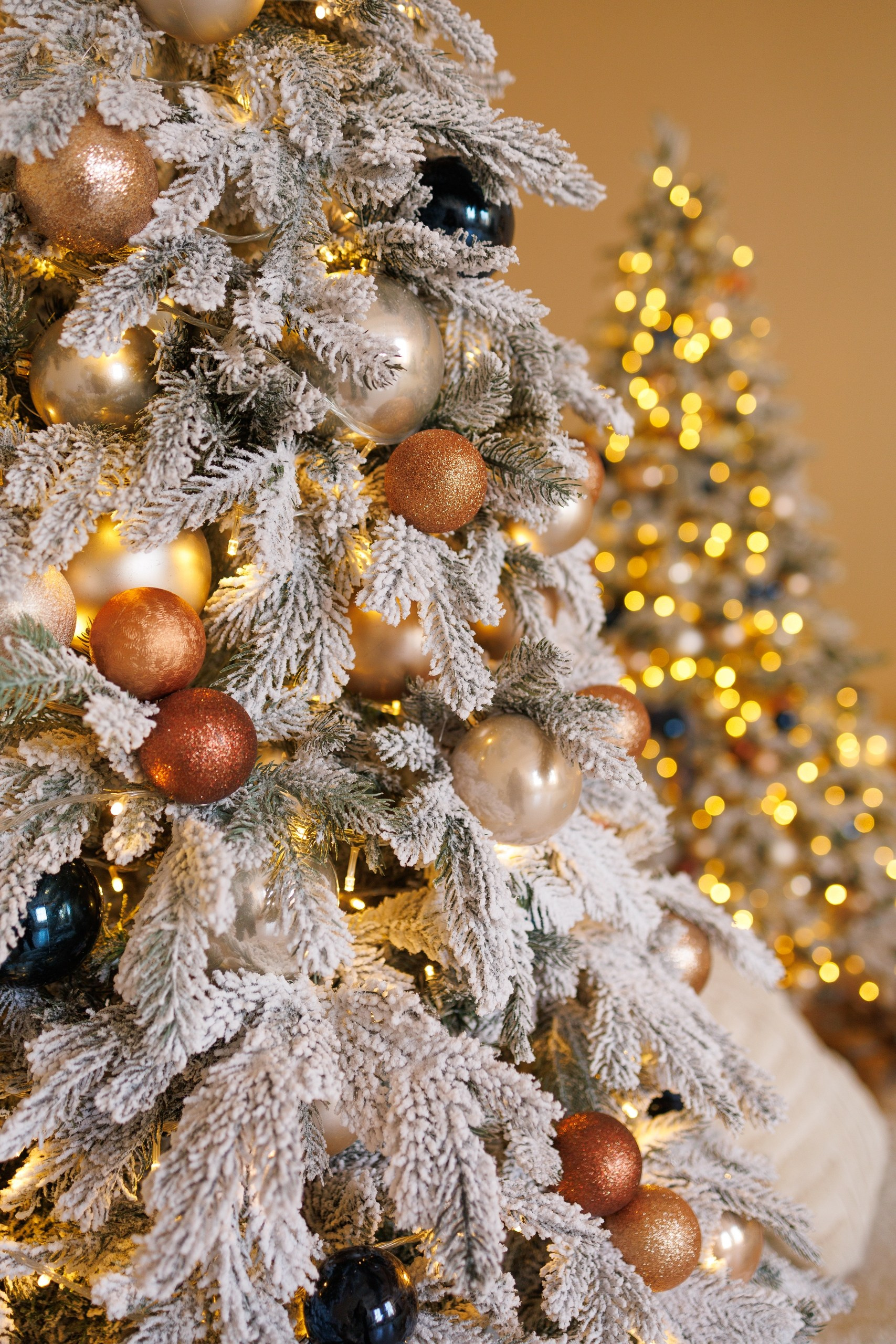 Список фотостудий. Свадебный и портретный фотограф Roxana Imp Тверь Москва