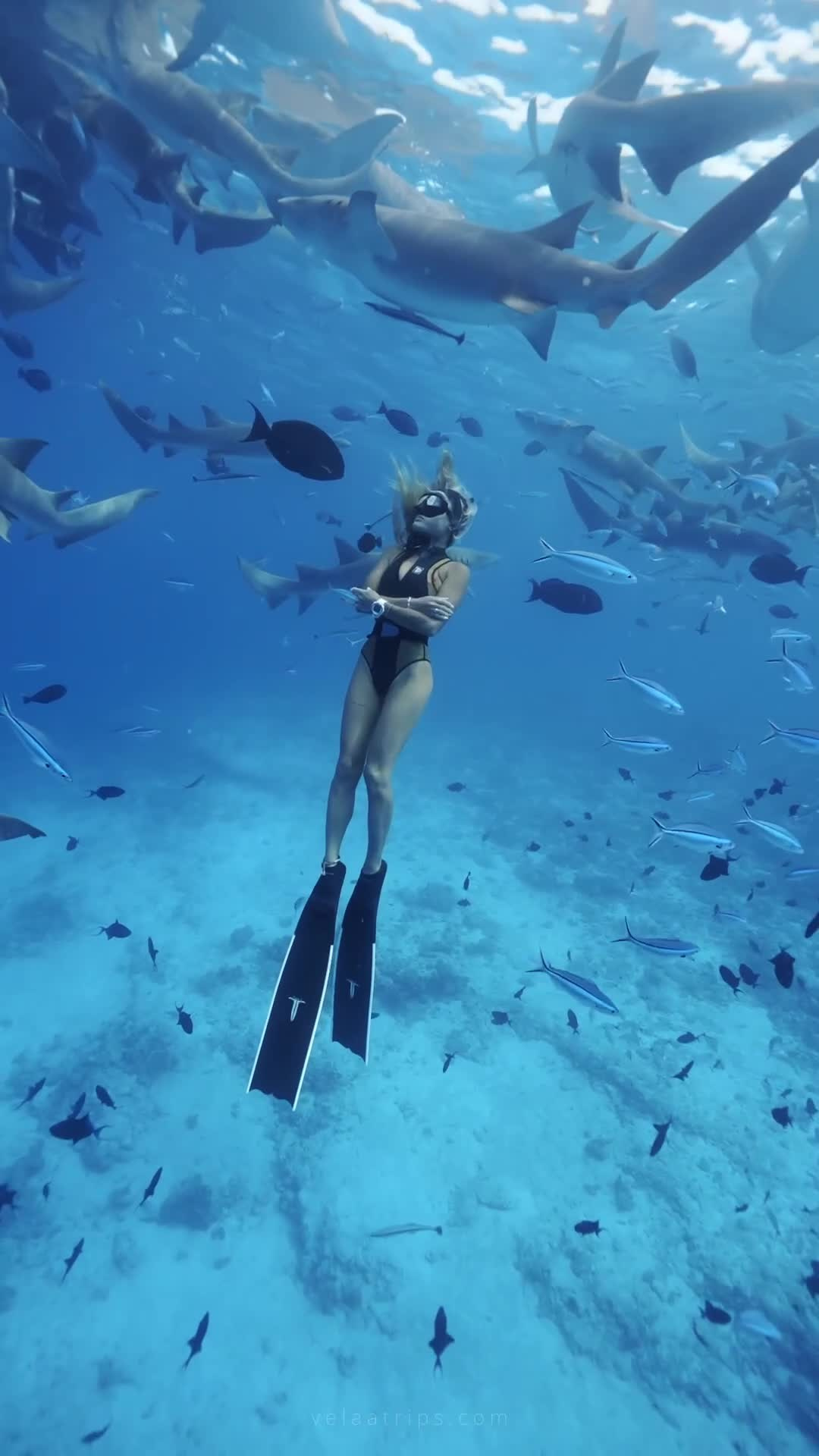 EXCURSIONS IN THE MALDIVES