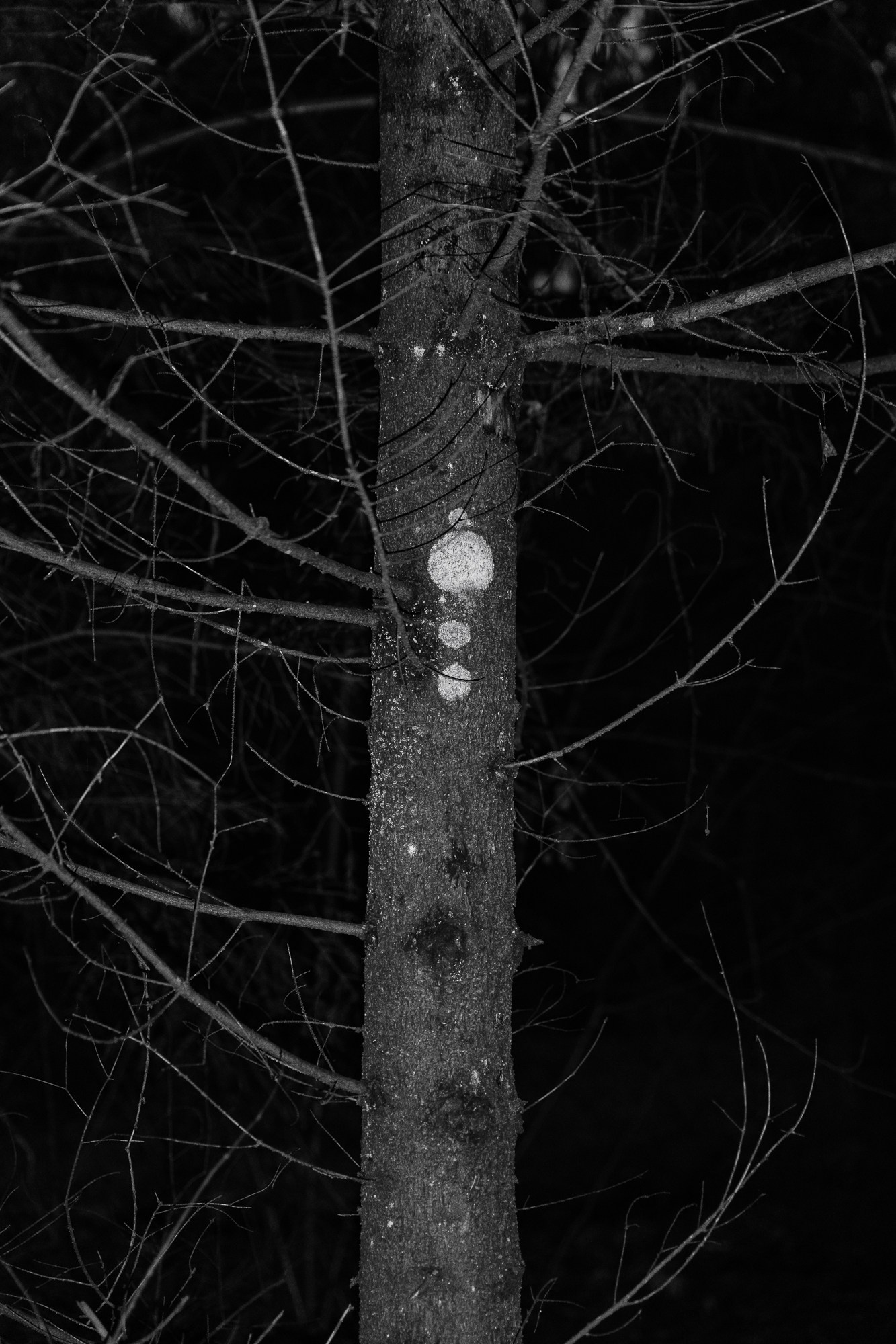 Пограничье. Юлия Леонова — фотограф, визуальный художник Минск