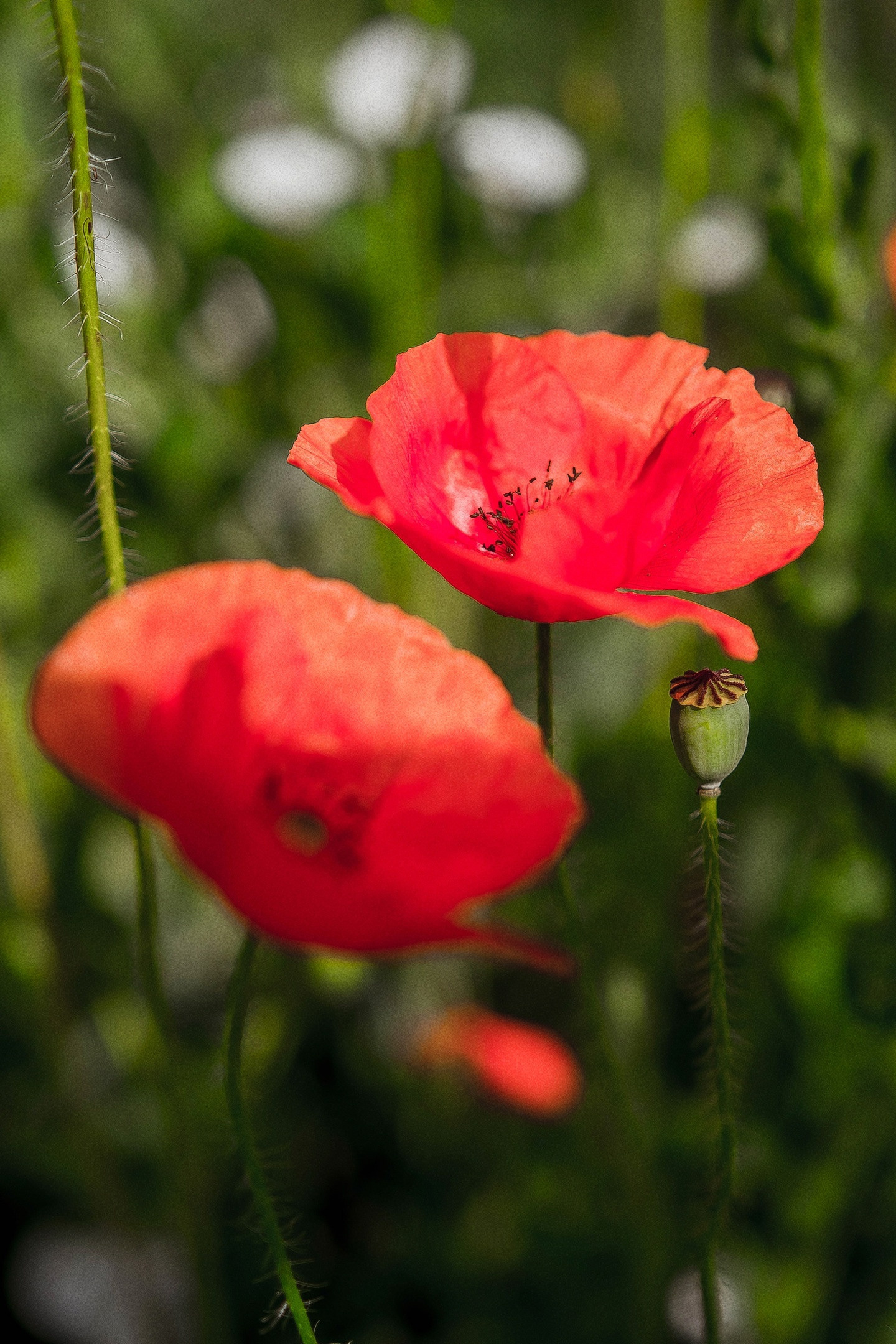 Арт-фотограф Евгений Матвиенко