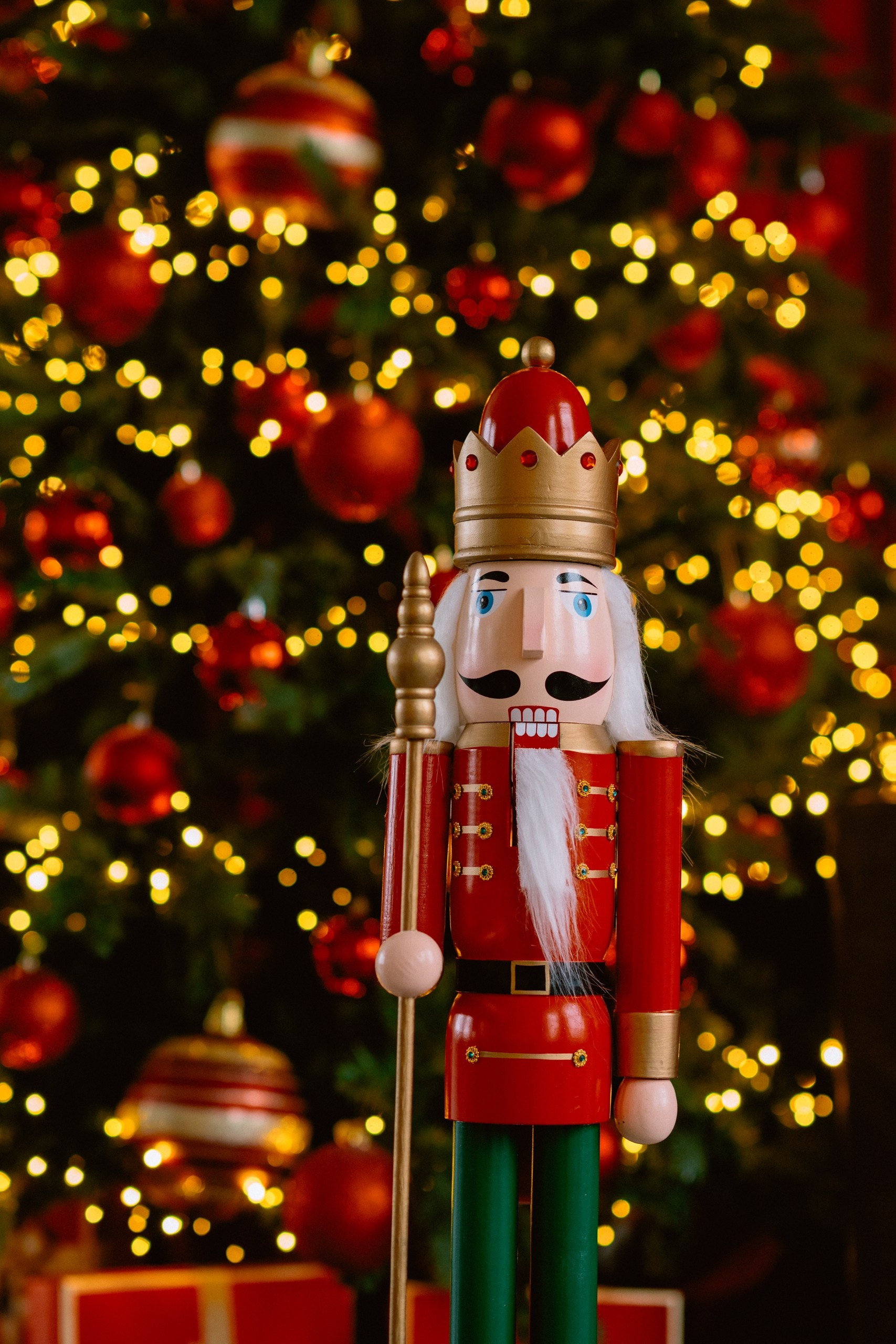 Фотостудии. Свадебный и семейный фотограф в Туле Анастасия Чаликова