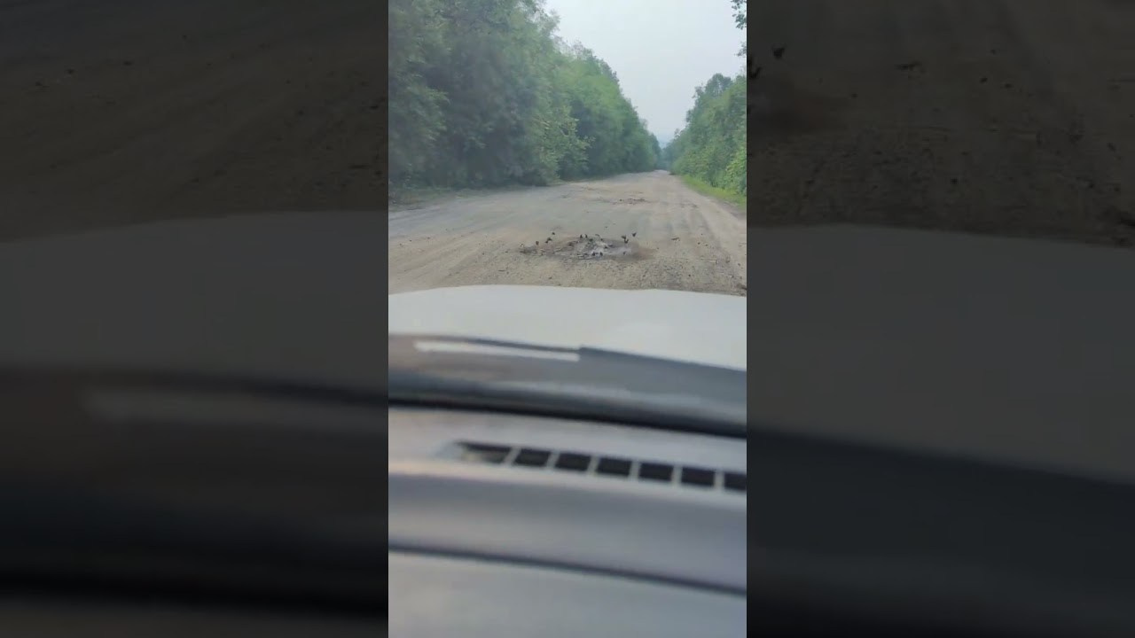 Удэгейша. Колентеева Наталья/фотограф