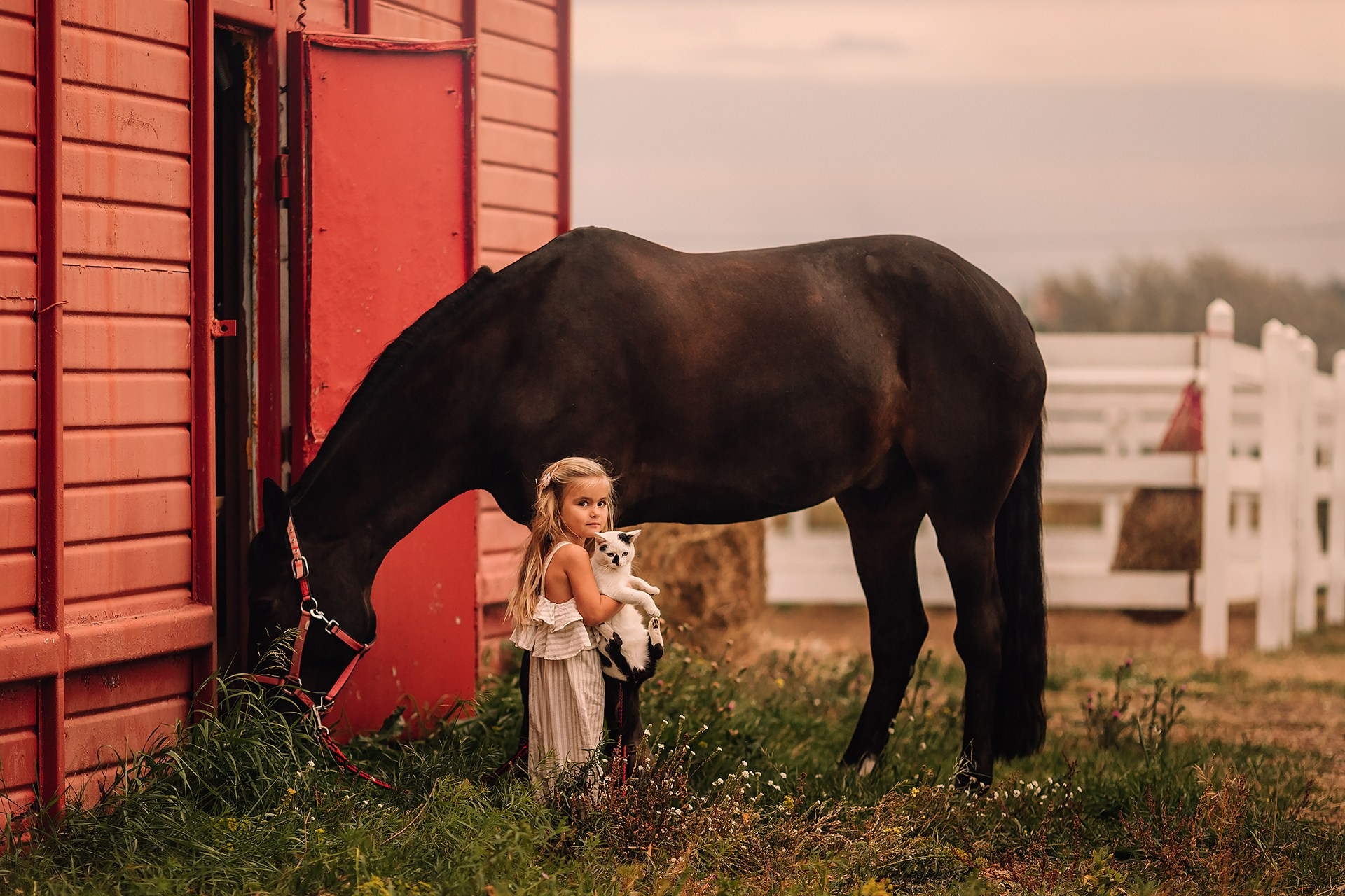 Фотосессия с лошадьми в Магнитогорске, фото с лошадью Магнитогорск, конная фотография, фотограф Магнитогорск, фотосессия Магнитогорск, конный фотограф, женский портрет, портрет с лошадью