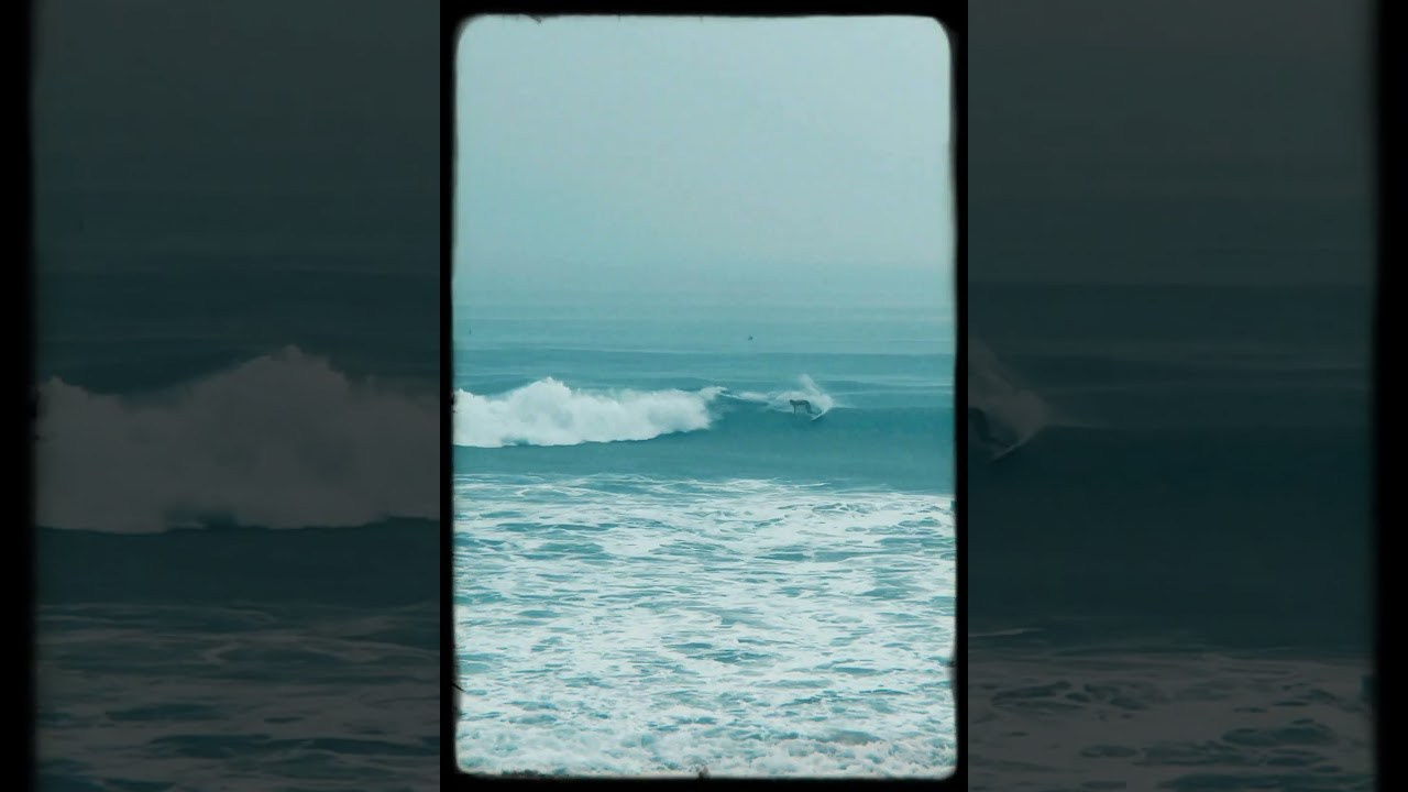 Filming life. POLINA MÔMOT