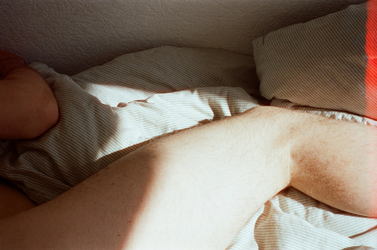 Let there be light. Maria Barakova