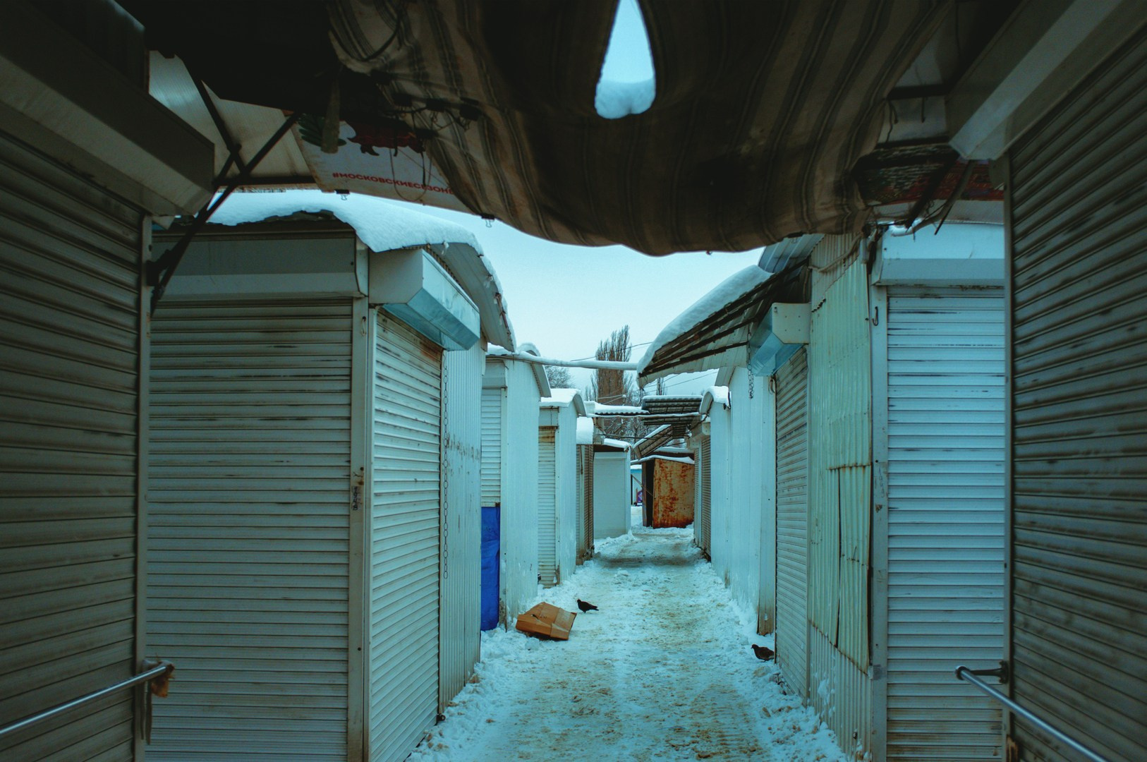 Зима уходящая. Руслан Шувалов (поэтограф)