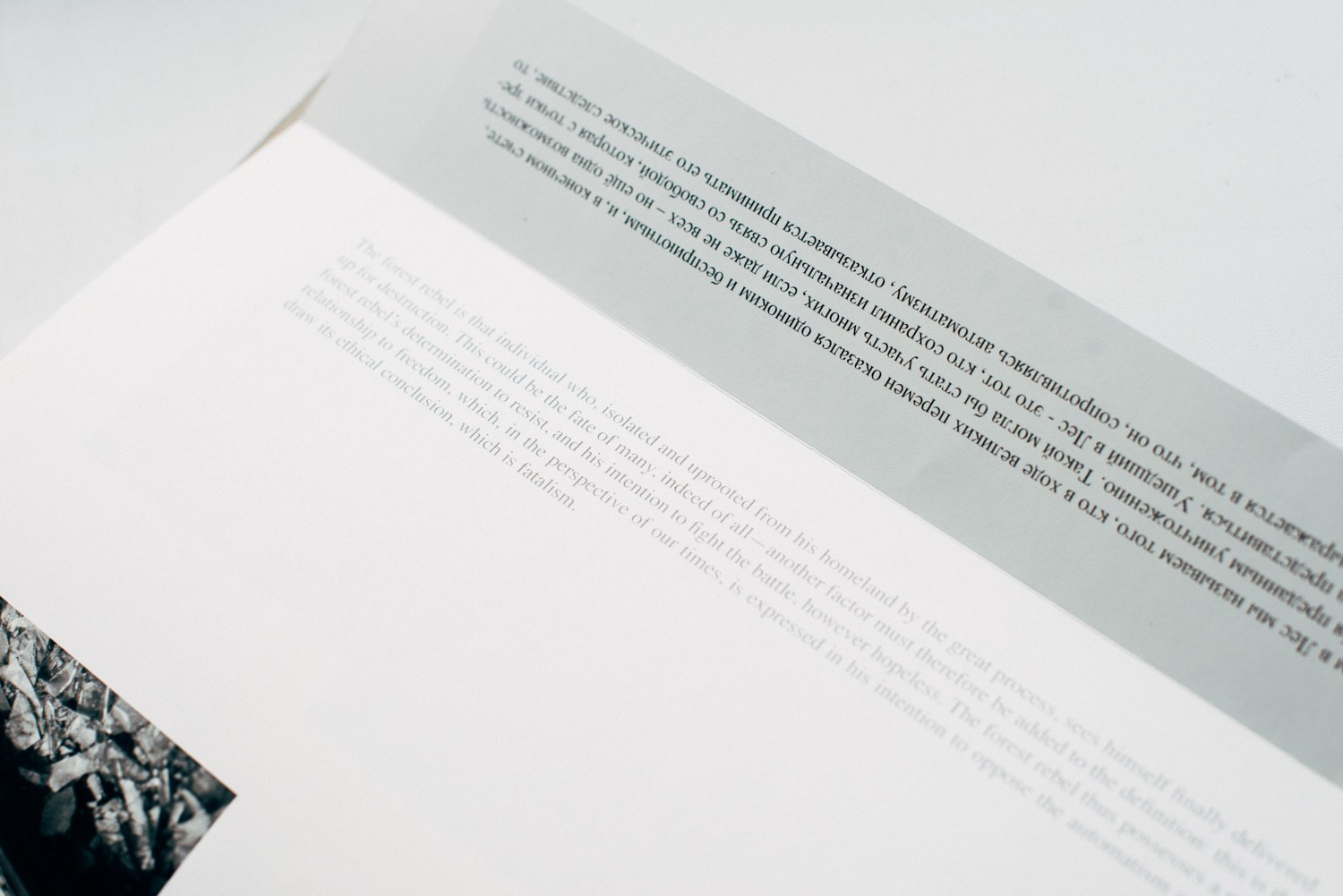 About forest, traps and sorrow. Main