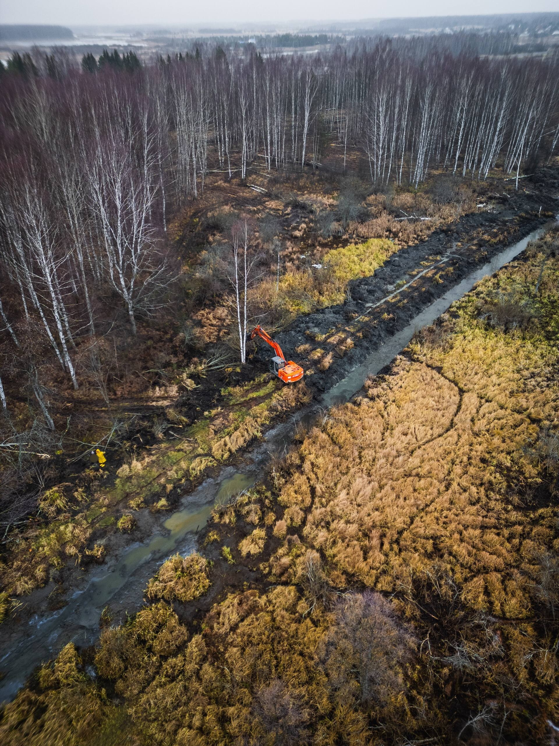 Эко-парк. DRONBERRY — Аэросъемка Ярославль