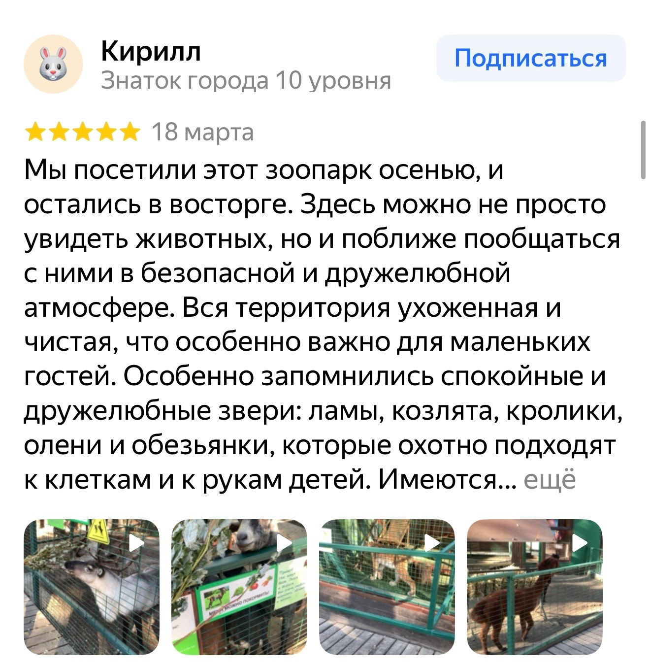 Отзыв о террариуме и мире попугаев в зоопарке