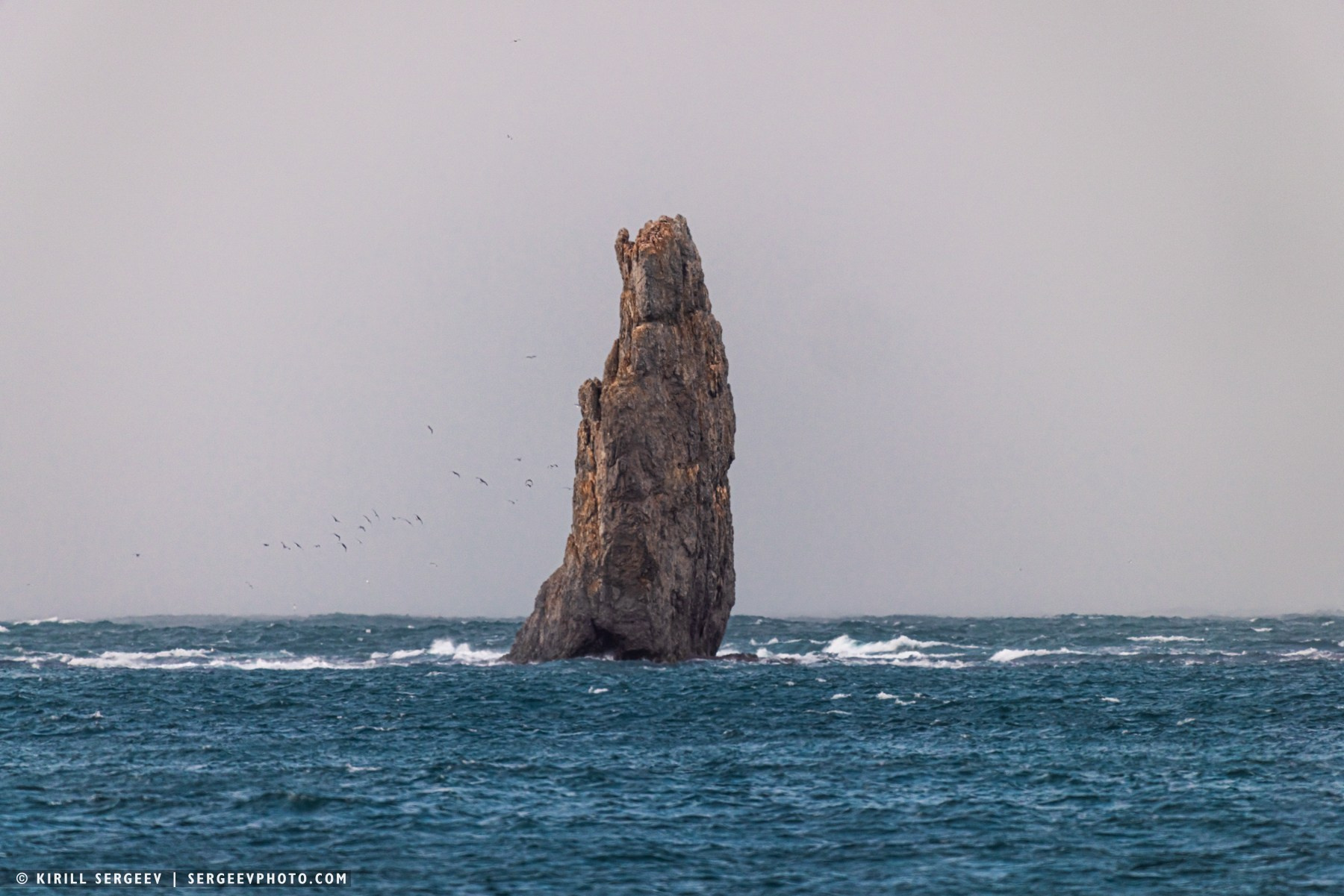北極奧德賽. 攝影師 基里爾·謝爾蓋耶夫 |莫斯科