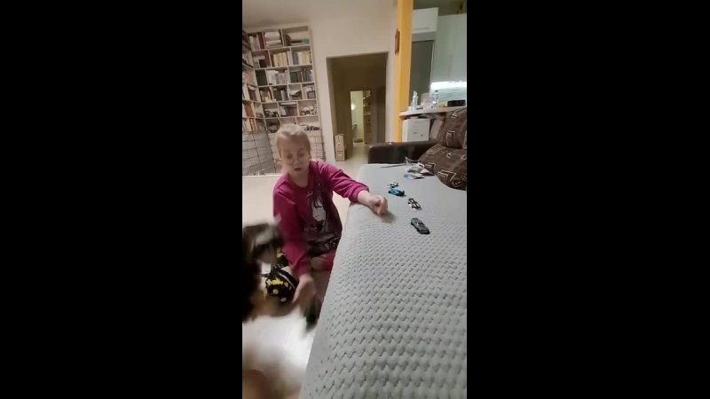 Сегодня Феликсу исполнилось ровно 6 месяцев!))). Питомник китайских хохлатых собак Poale Ell: купить щенка