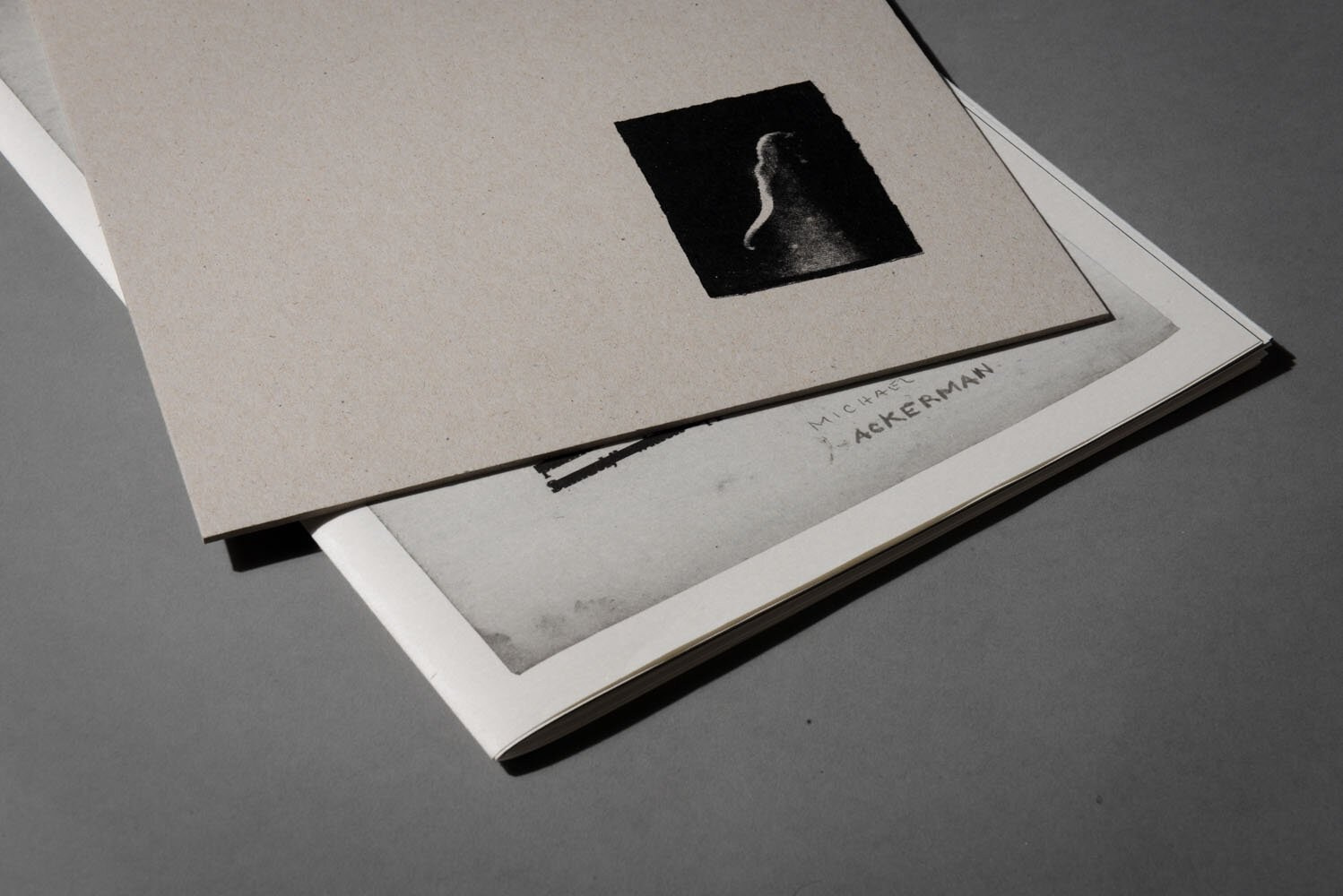 Книга Майкла Акермана (Michael Ackerman) «Hunger — Epilogue». Private image