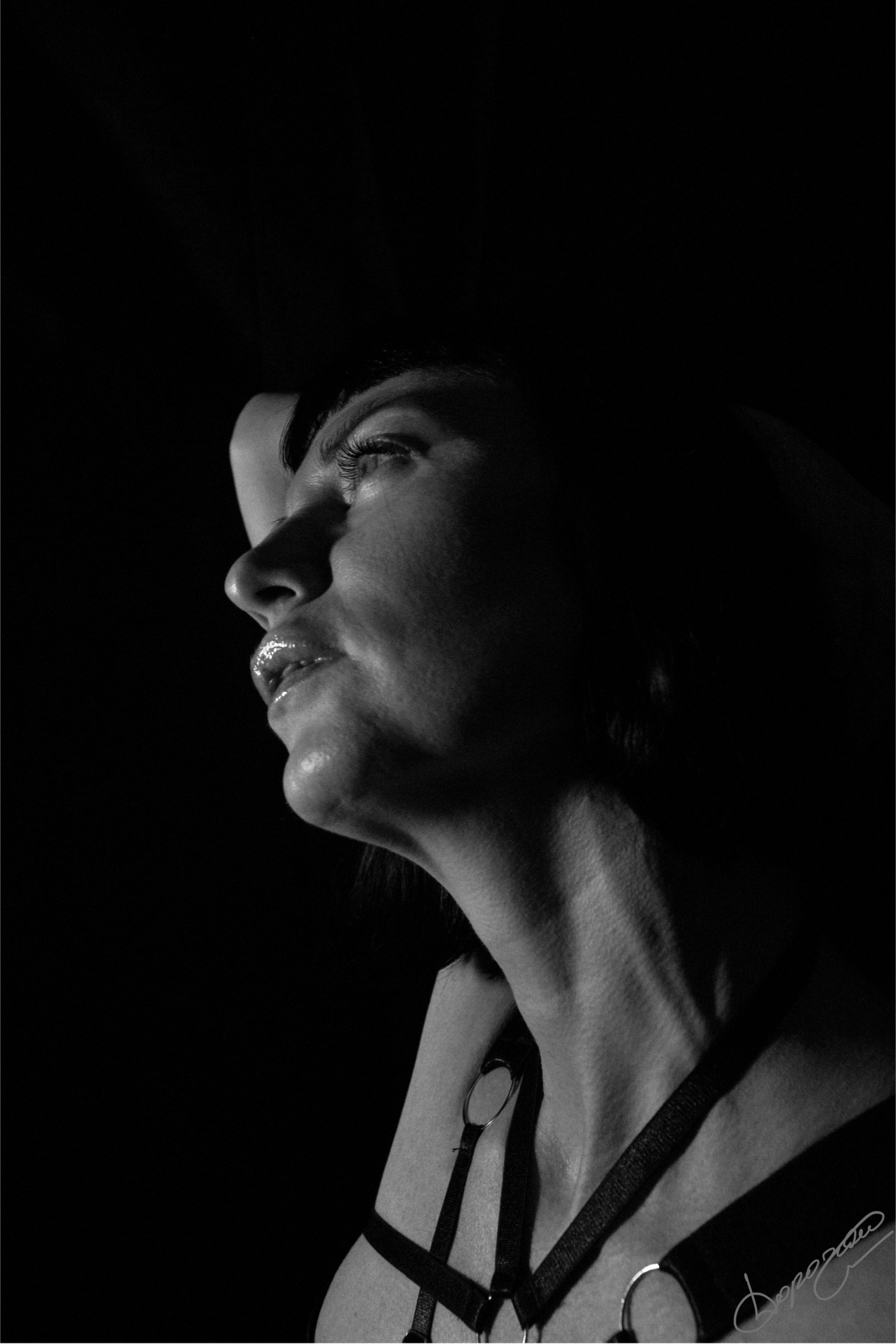 Фотограф Серега Дорога