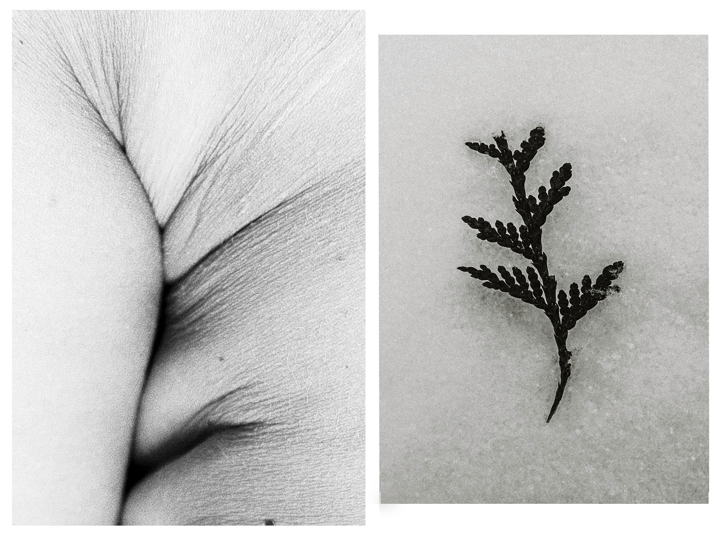 Диптихи. Портретный фотограф в Самаре Анна Силютина