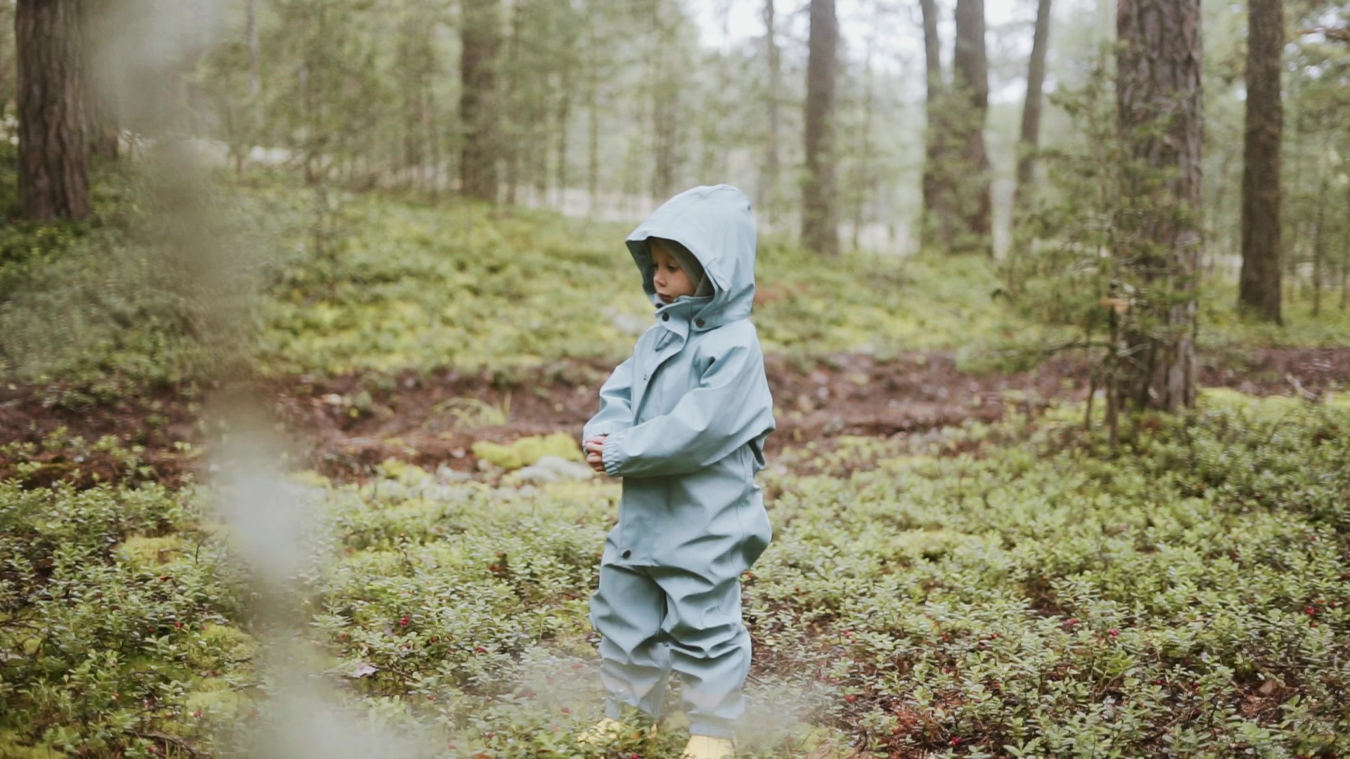 Семейное кино. ВИДЕОГРАФ, РЕЖИССЕР — КАТЯ ГУСЕВА