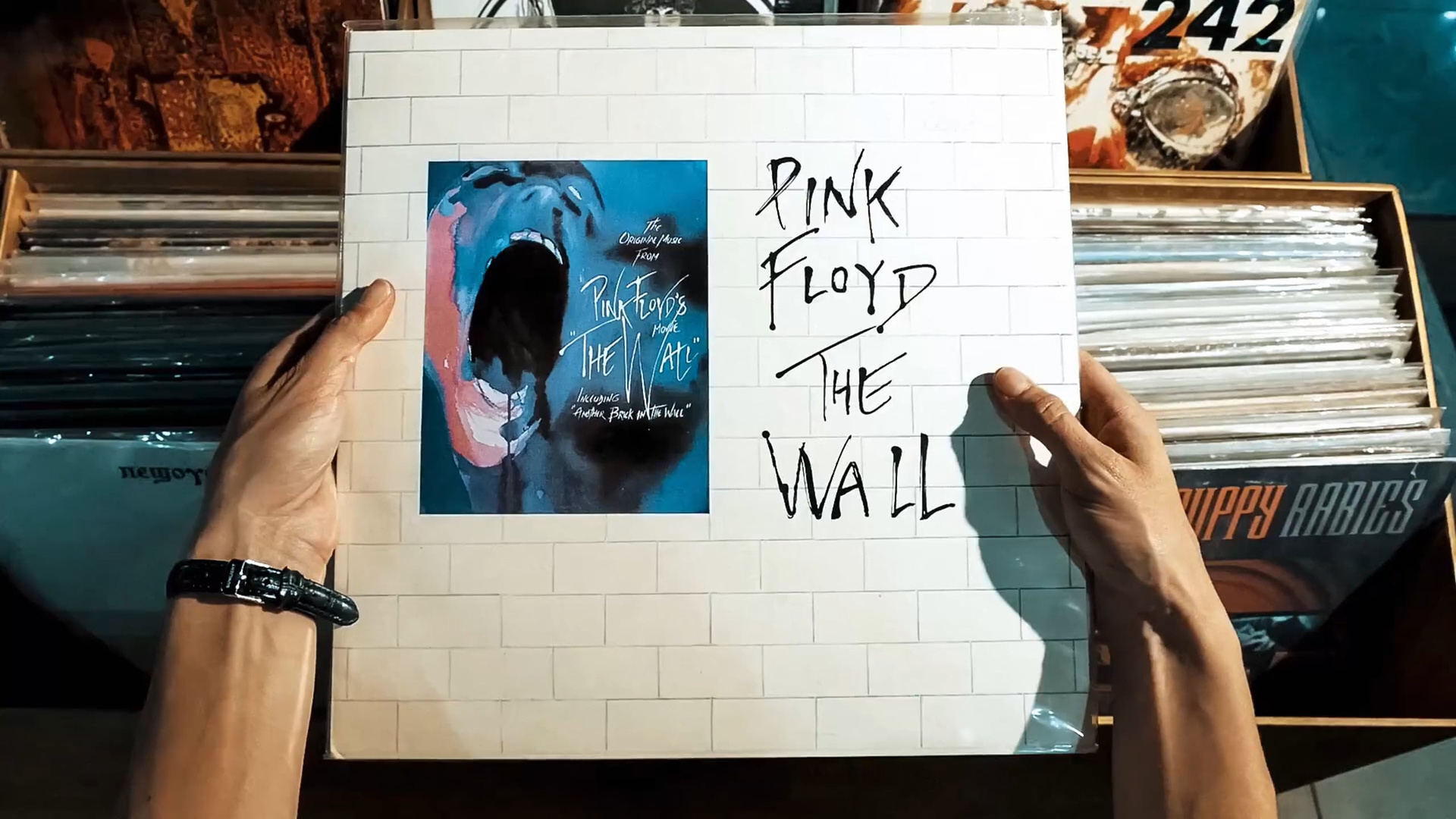 Блог Артема Ракаева. Артем Ракаев — фотограф и видеомейкер из Санкт-Петербурга