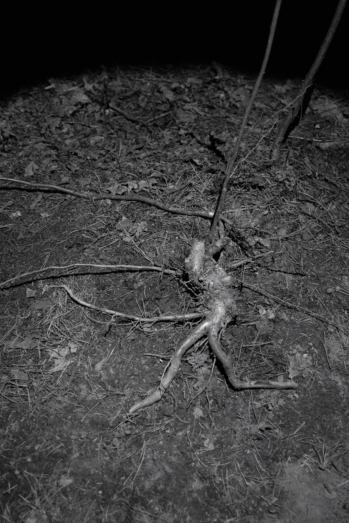 Пограничье. Юлия Леонова — фотограф, визуальный художник Минск