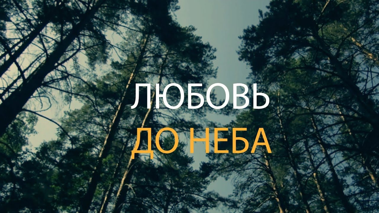 Видеосъемка в Барнауле