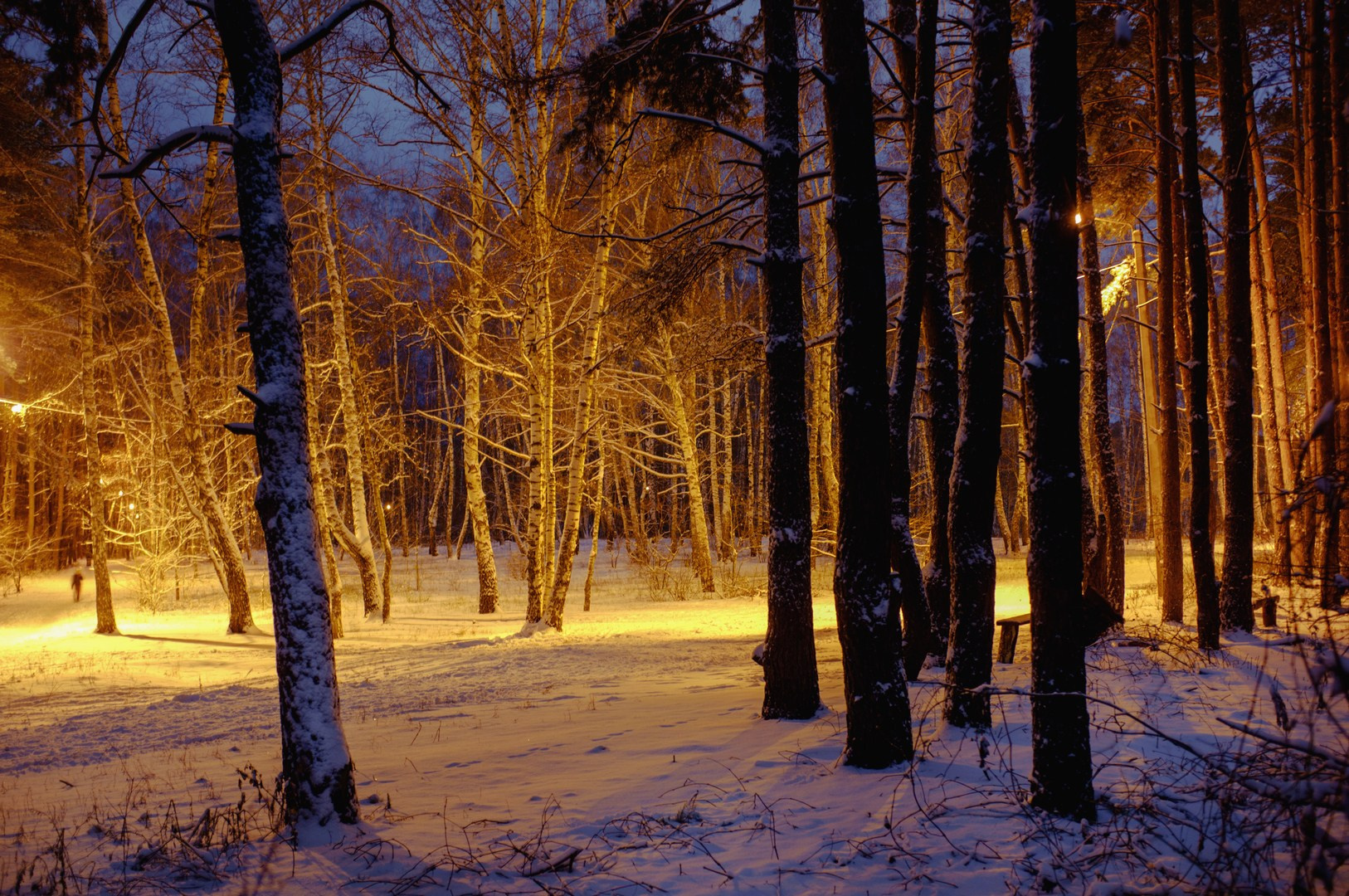 Руслан Шувалов (поэтограф)