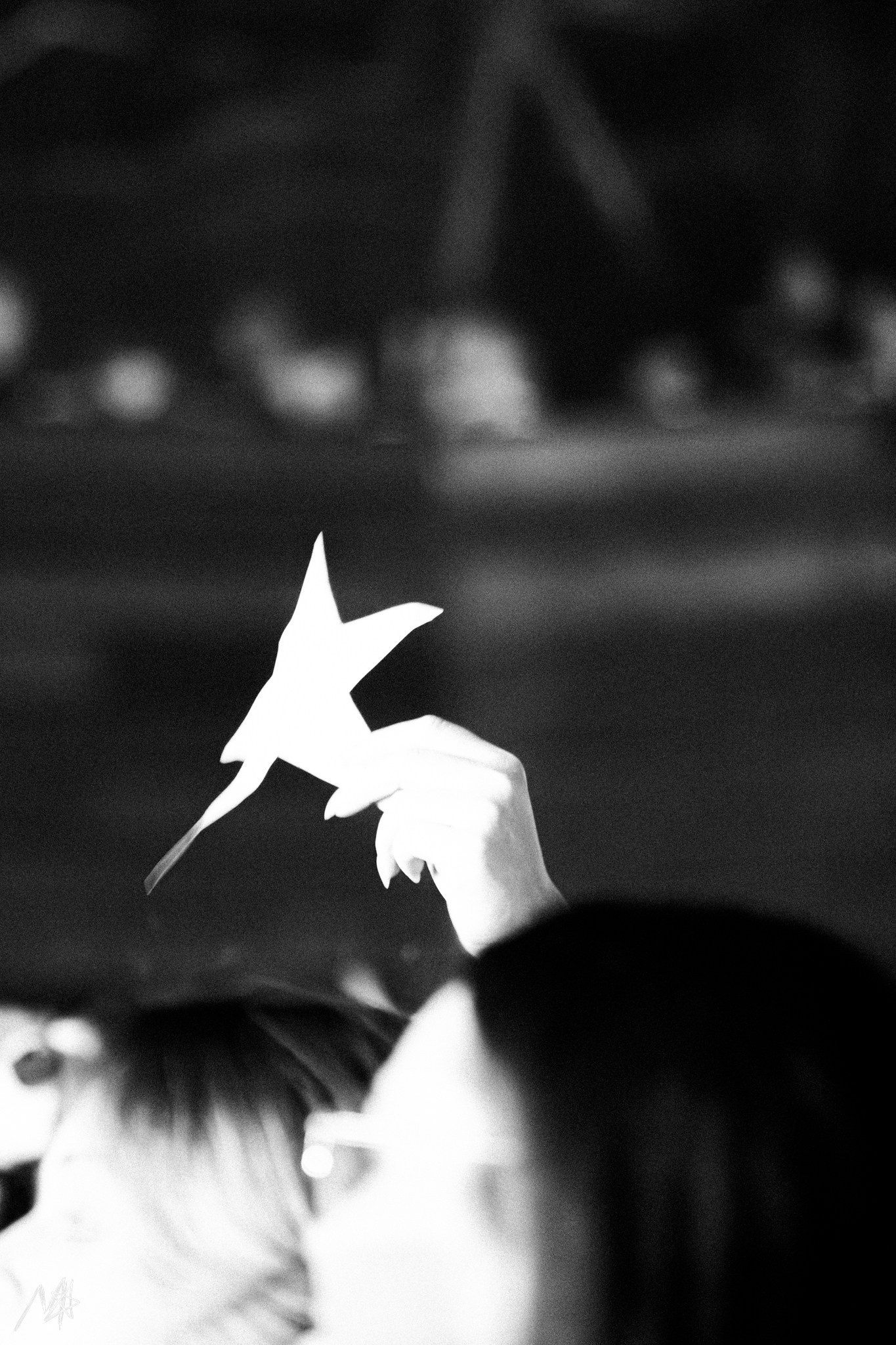 Акустический концерт Мукка. Концертный фотограф