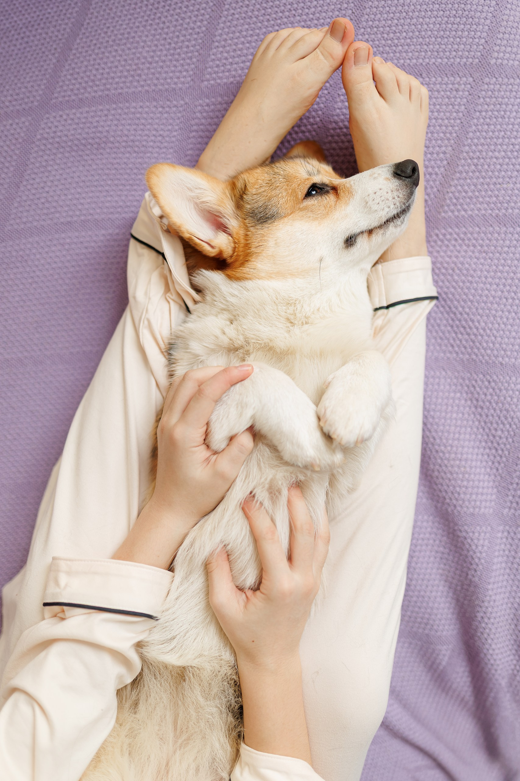 День рождения корги 🐕. Семейный и детский фотограф Комина Елена, Власиха, Одинцово