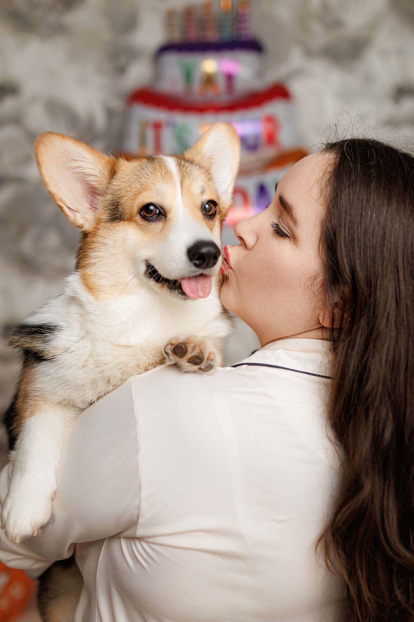 День рождения корги 🐕. Семейный и детский фотограф Комина Елена, Власиха, Одинцово